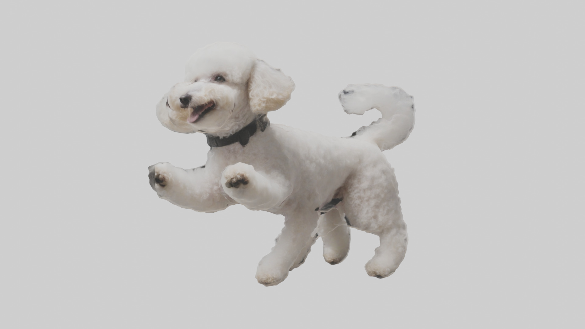 Poodle playing model Low-poly 3D model_9