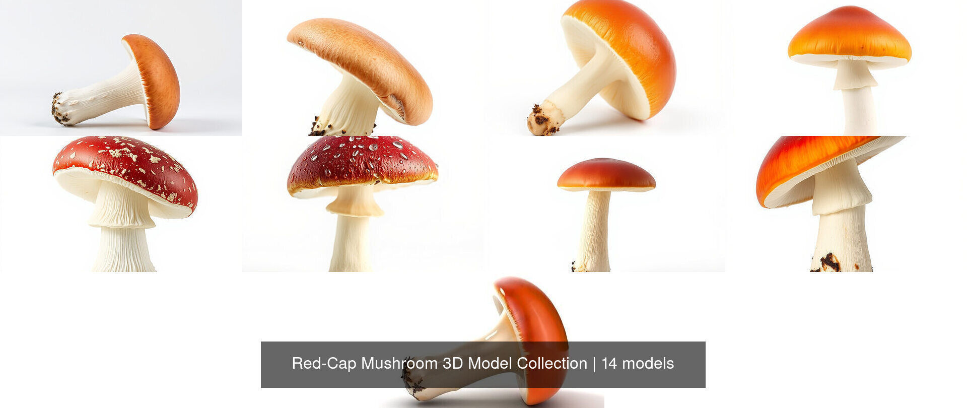 Red-Cap Mushroom 3D Model Collection _10