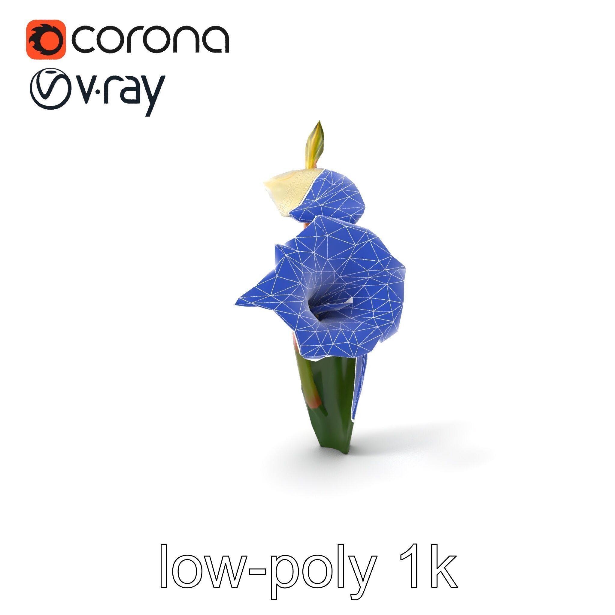 Elegant Gladiolus Floral Sculpture model pack Low-poly 3D model_6