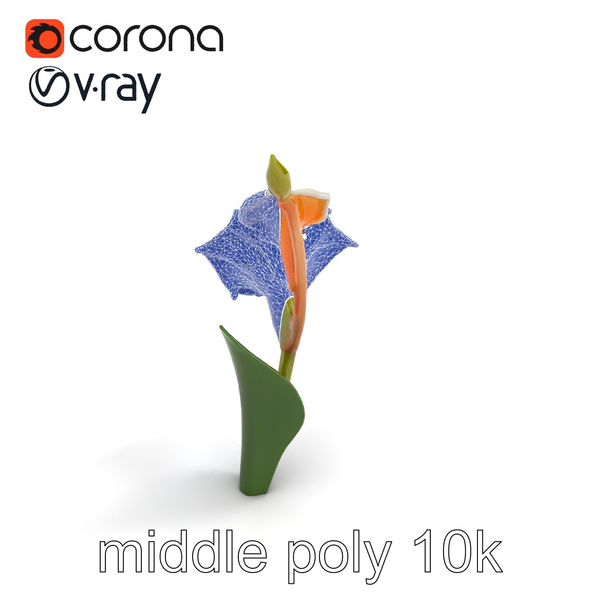 Elegant Gladiolus Floral Sculpture model pack Low-poly 3D model_10