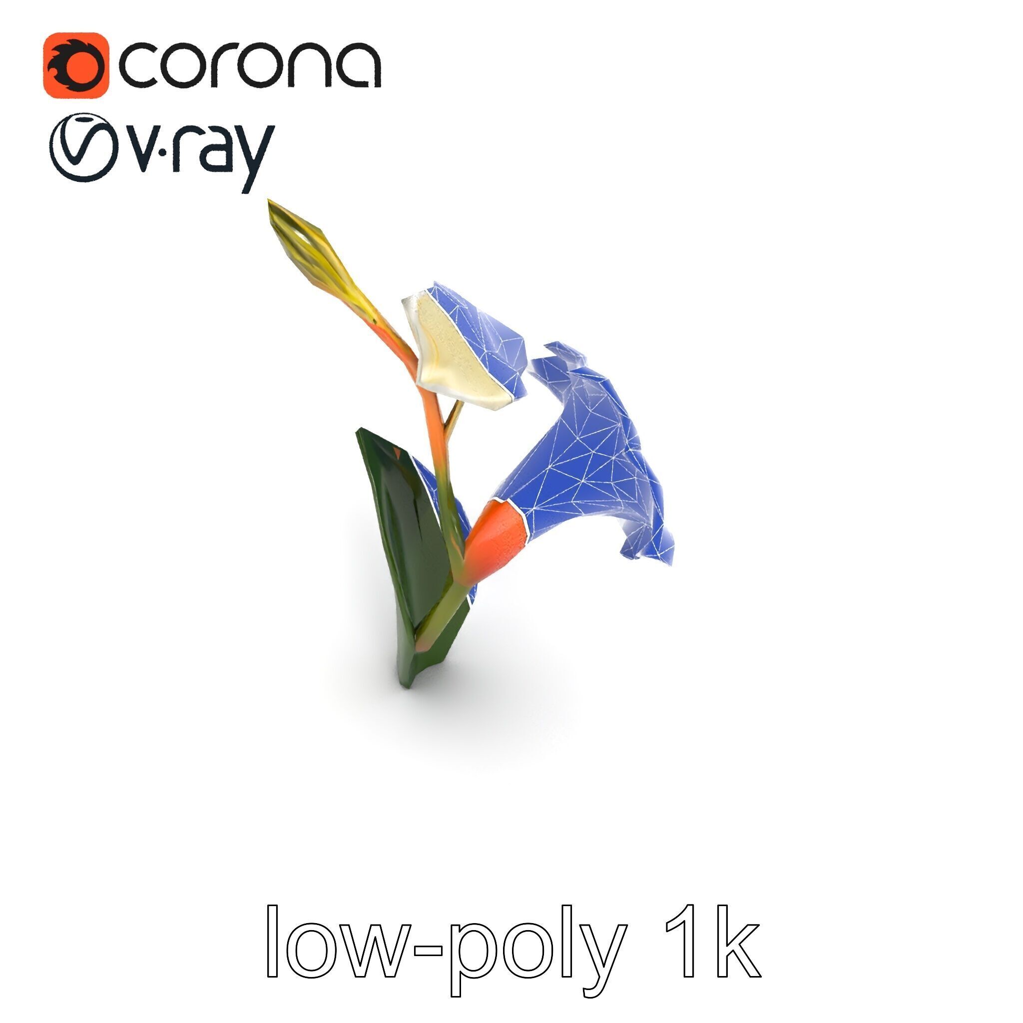 Elegant Gladiolus Floral Sculpture model pack Low-poly 3D model_15