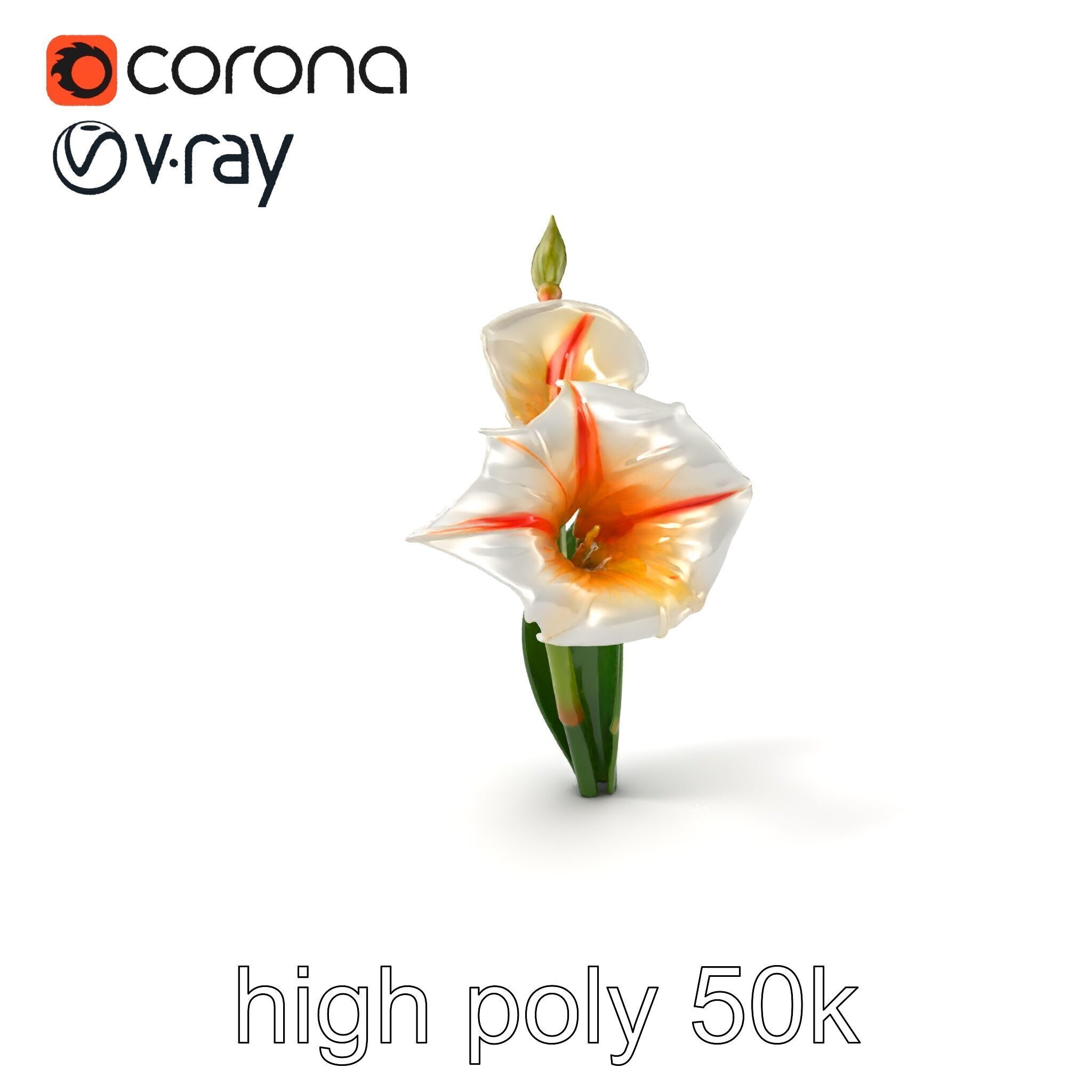 Elegant Gladiolus Floral Sculpture model pack Low-poly 3D model_2