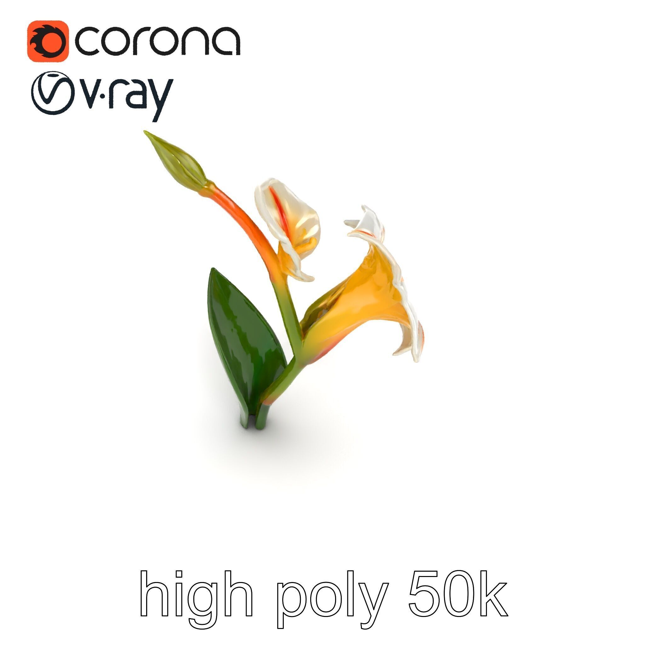 Elegant Gladiolus Floral Sculpture model pack Low-poly 3D model_29