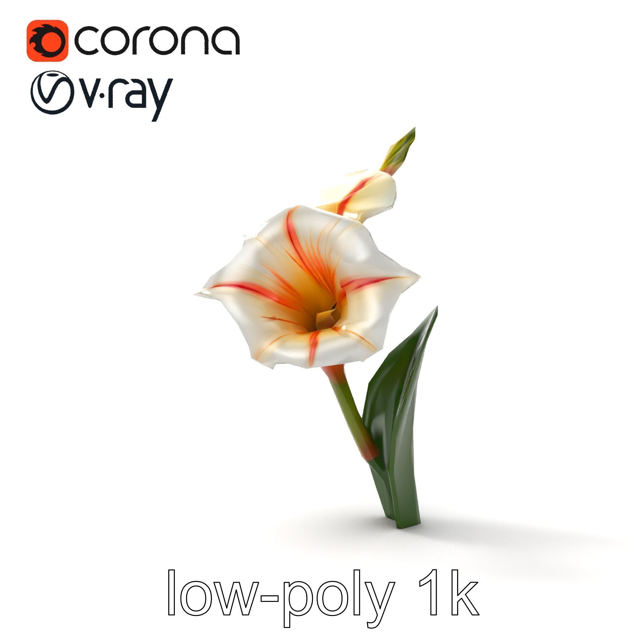 Elegant Gladiolus Floral Sculpture model pack Low-poly 3D model_21