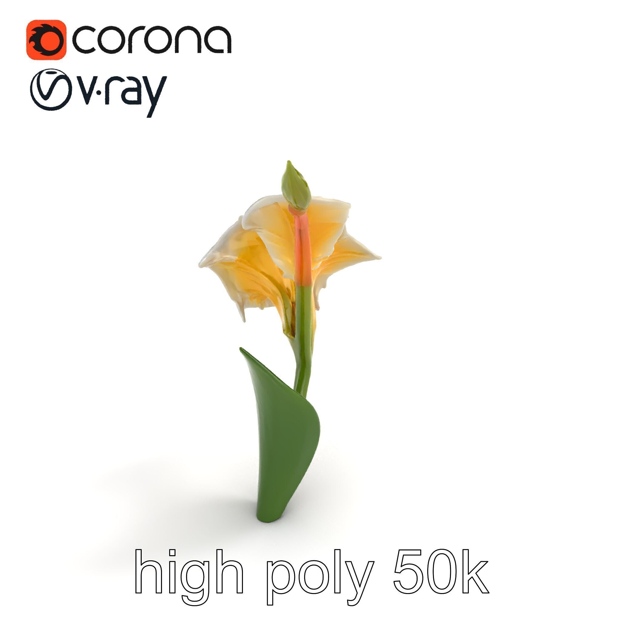 Elegant Gladiolus Floral Sculpture model pack Low-poly 3D model_9