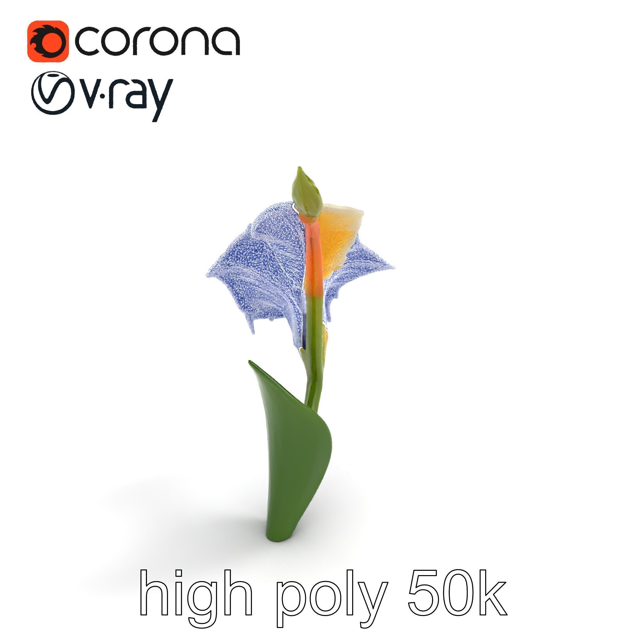 Elegant Gladiolus Floral Sculpture model pack Low-poly 3D model_16