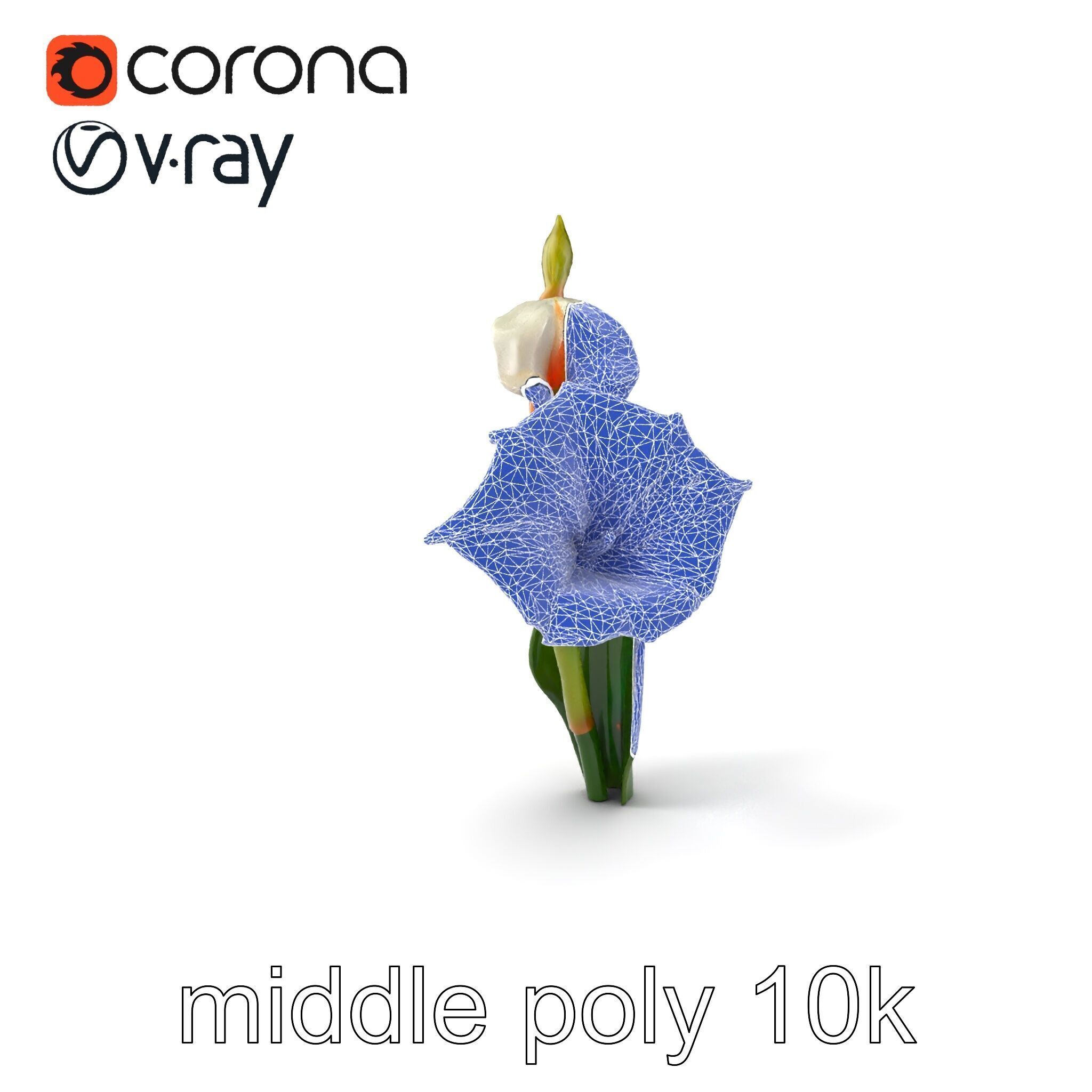 Elegant Gladiolus Floral Sculpture model pack Low-poly 3D model_5