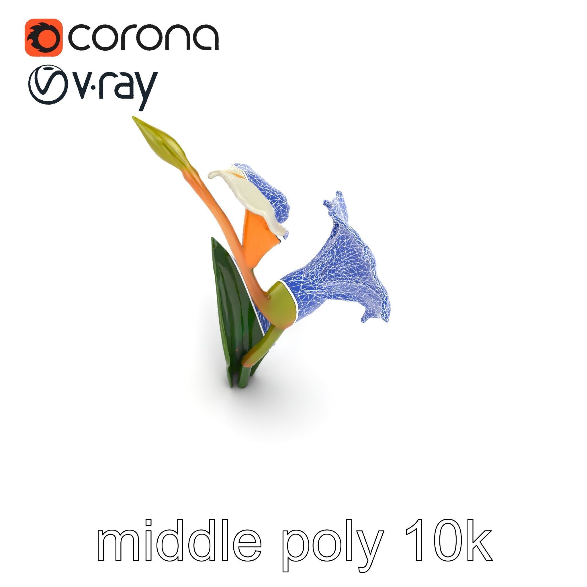 Elegant Gladiolus Floral Sculpture model pack Low-poly 3D model_17