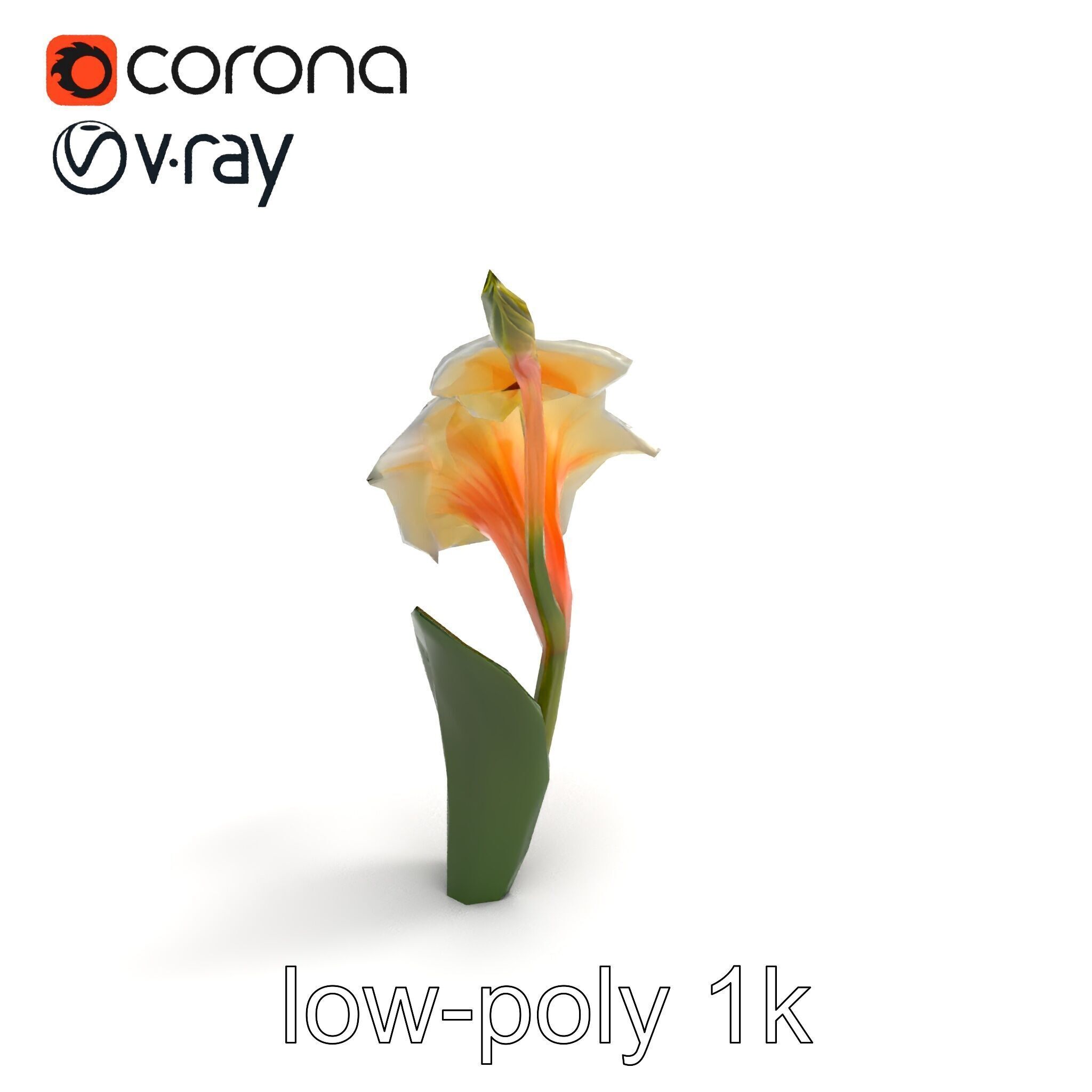 Elegant Gladiolus Floral Sculpture model pack Low-poly 3D model_8