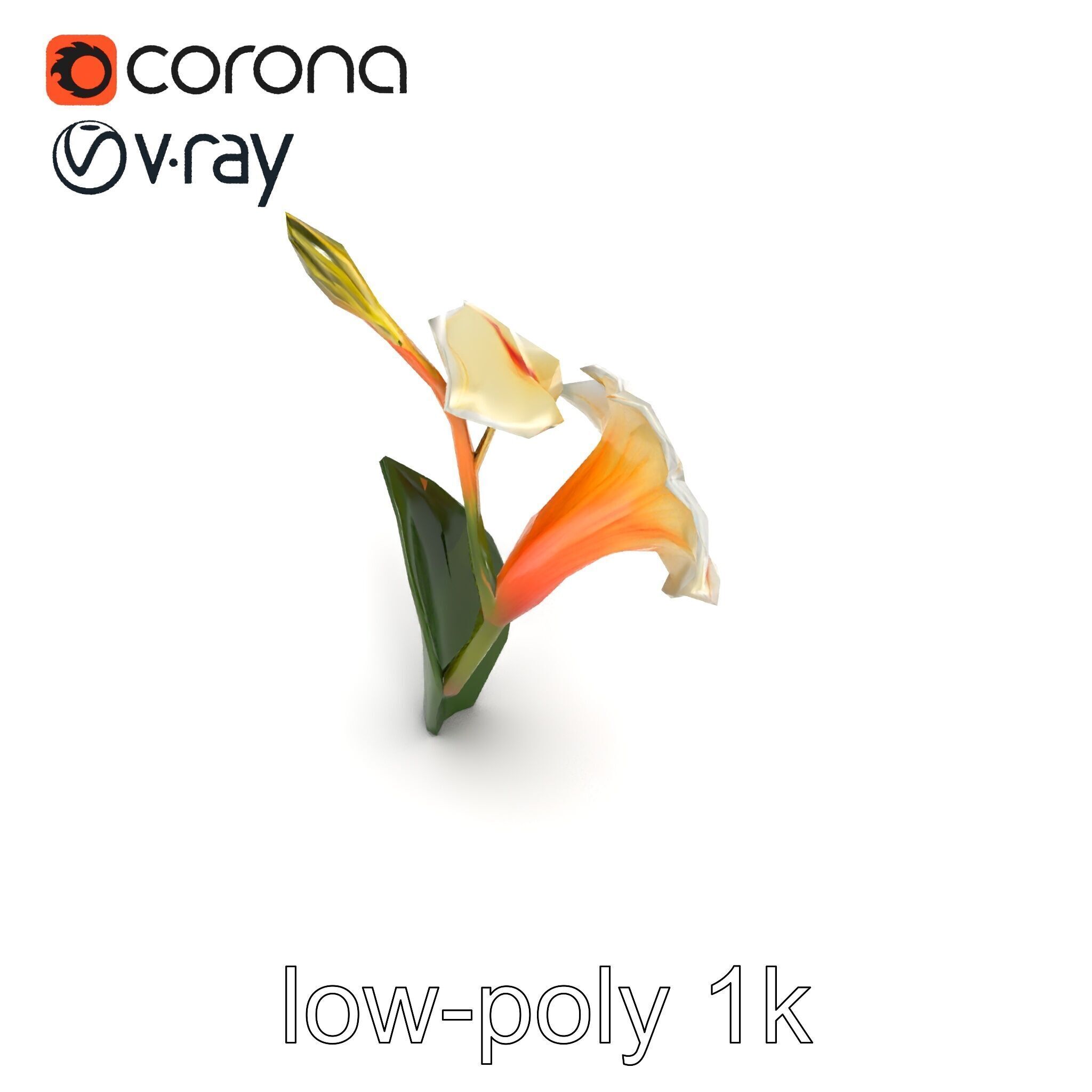 Elegant Gladiolus Floral Sculpture model pack Low-poly 3D model_18