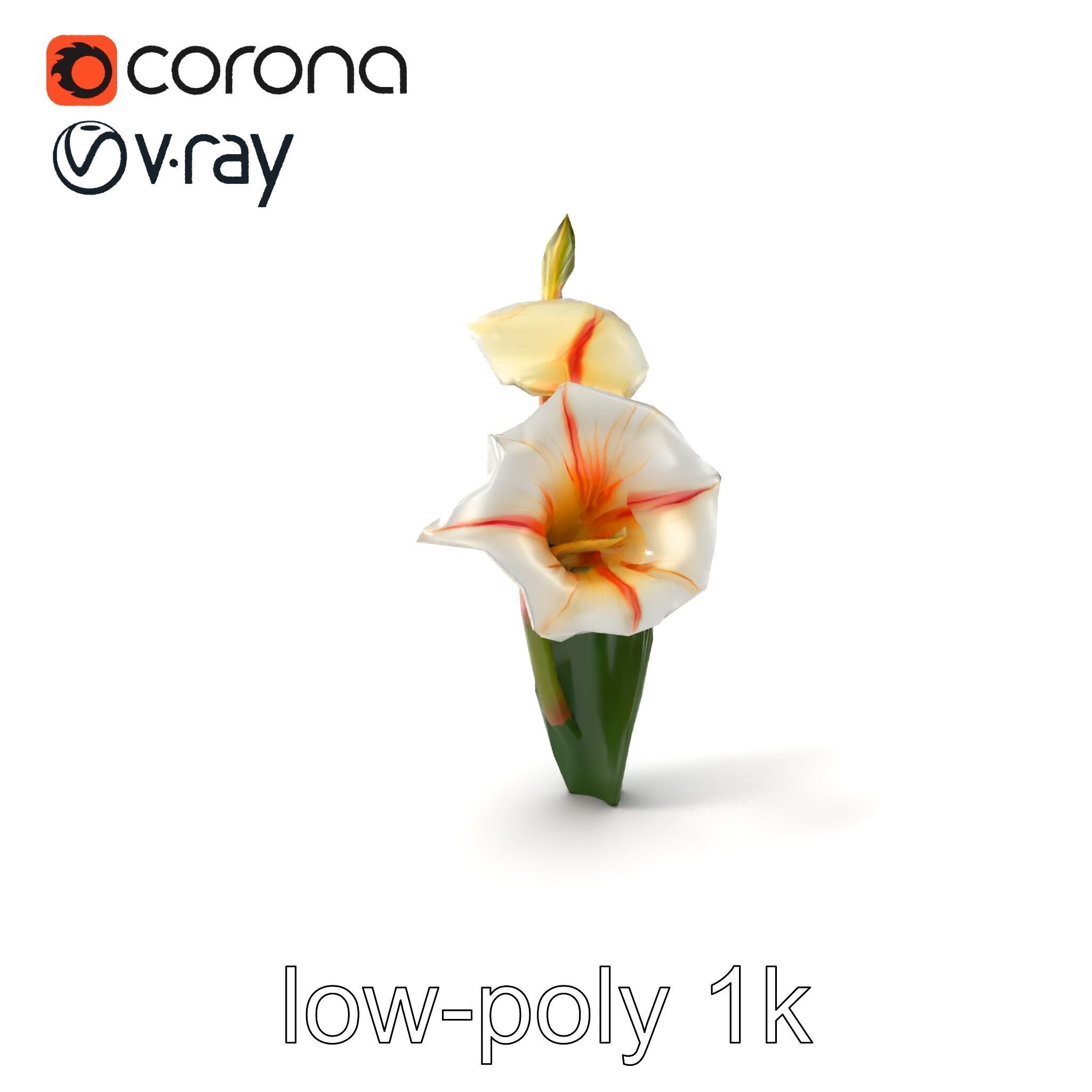 Elegant Gladiolus Floral Sculpture model pack Low-poly 3D model_4