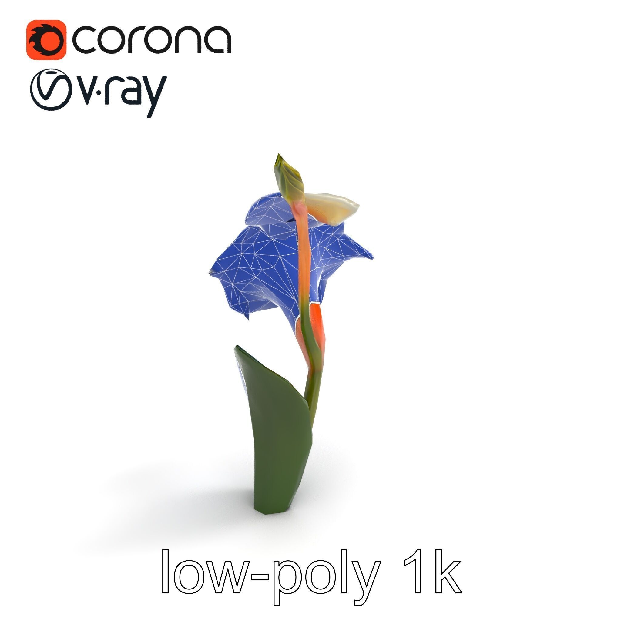 Elegant Gladiolus Floral Sculpture model pack Low-poly 3D model_14