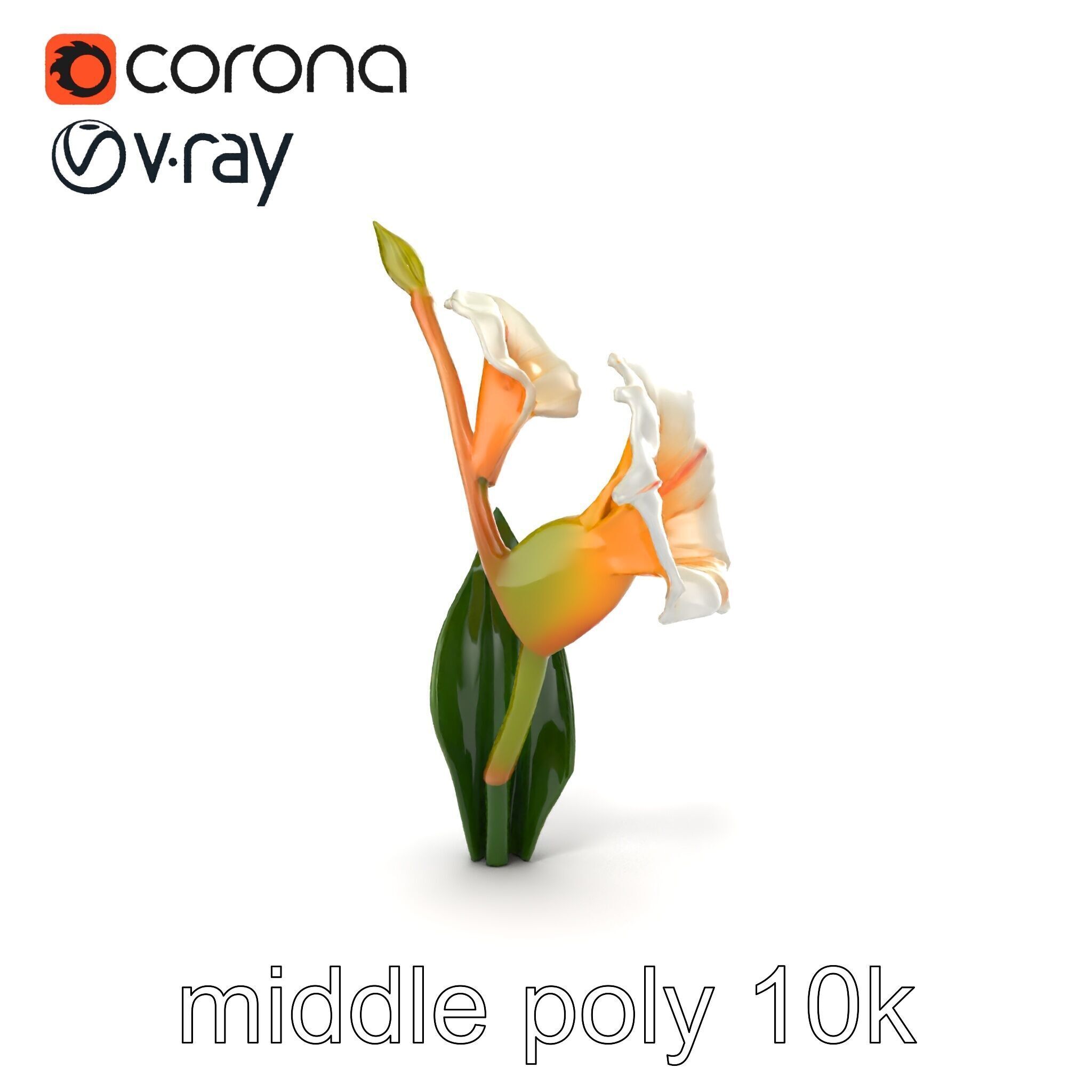 Elegant Gladiolus Floral Sculpture model pack Low-poly 3D model_19