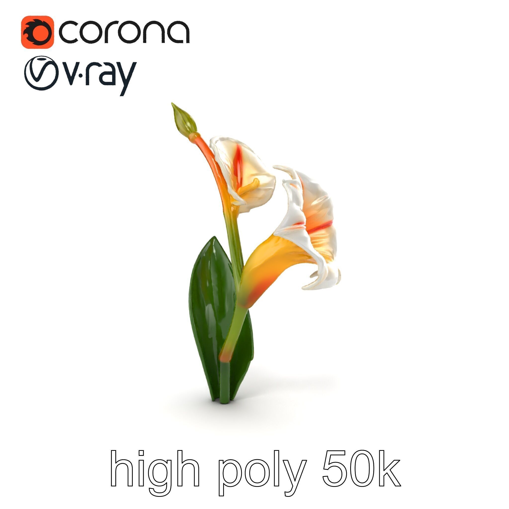 Elegant Gladiolus Floral Sculpture model pack Low-poly 3D model_20