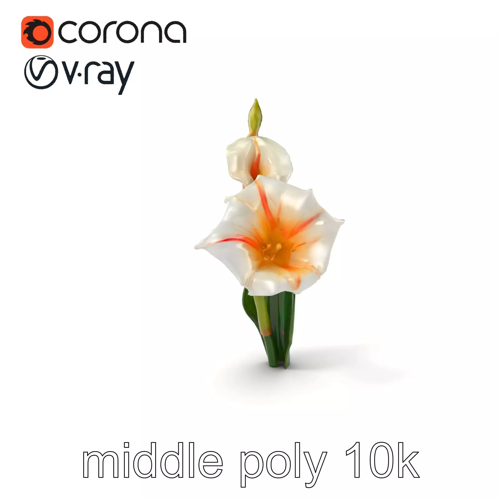 Elegant Gladiolus Floral Sculpture model pack Low-poly 3D model_0