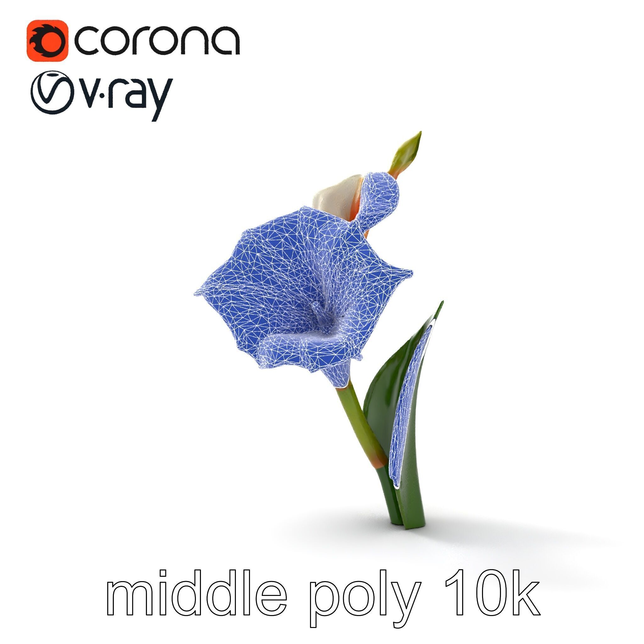 Elegant Gladiolus Floral Sculpture model pack Low-poly 3D model_28