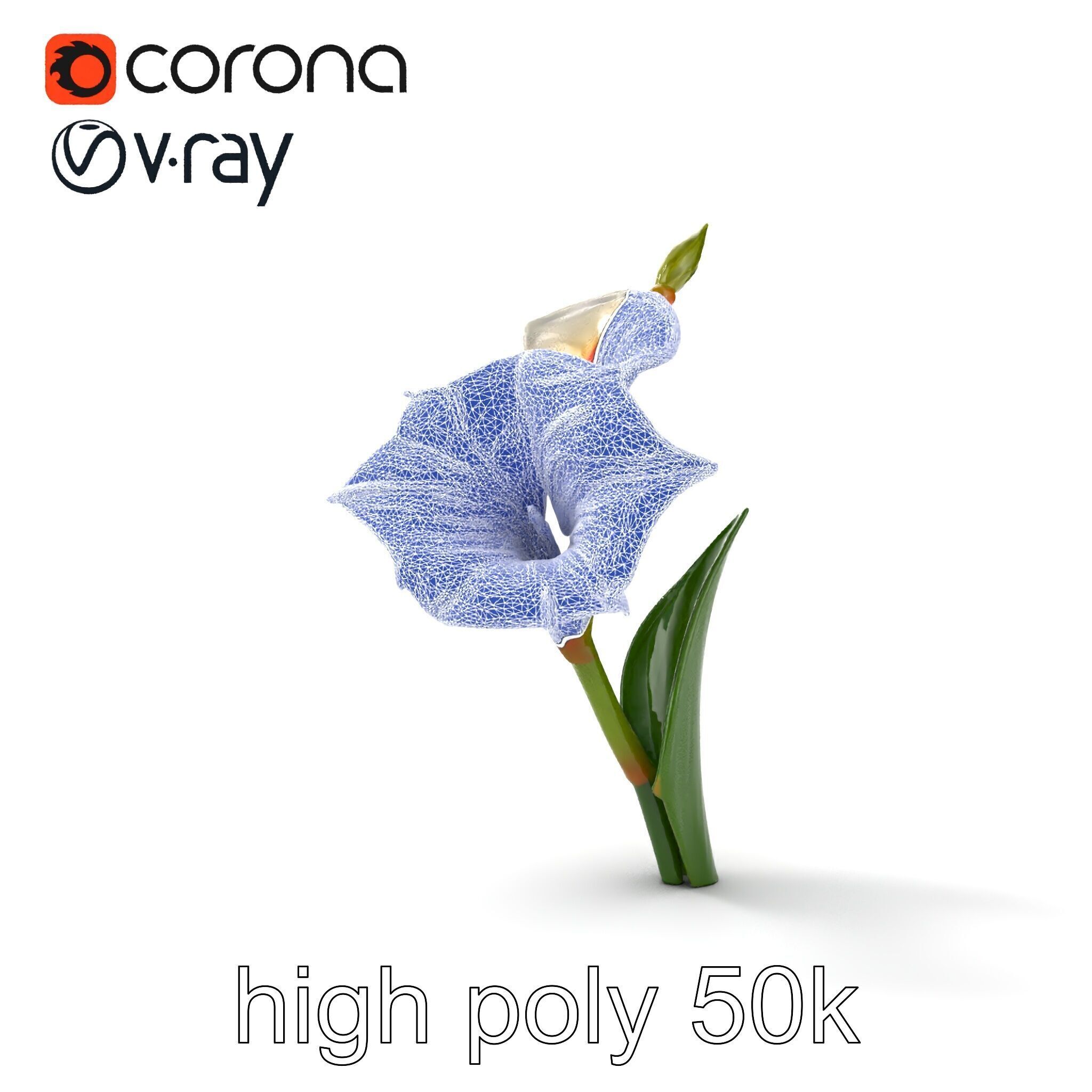 Elegant Gladiolus Floral Sculpture model pack Low-poly 3D model_26