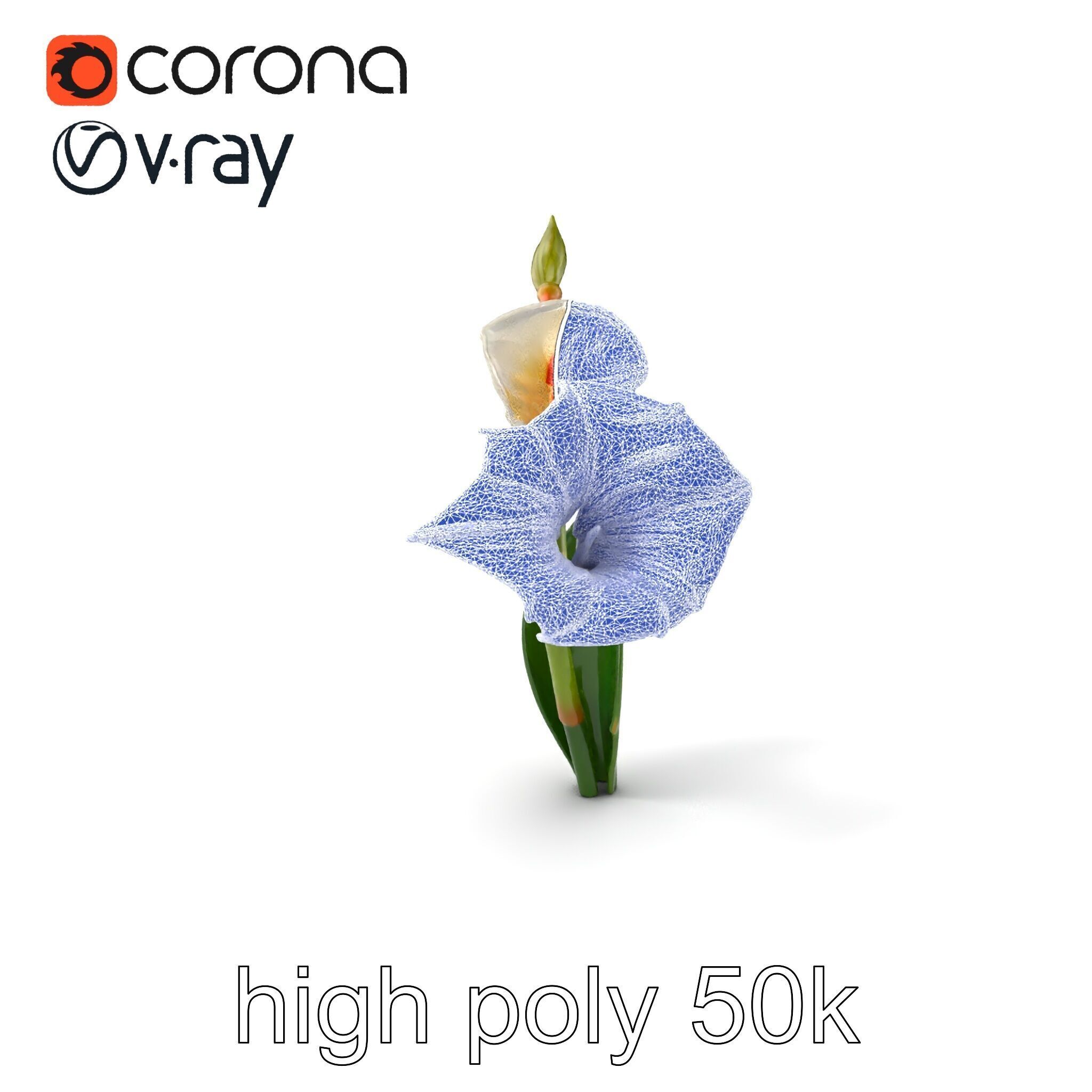 Elegant Gladiolus Floral Sculpture model pack Low-poly 3D model_1