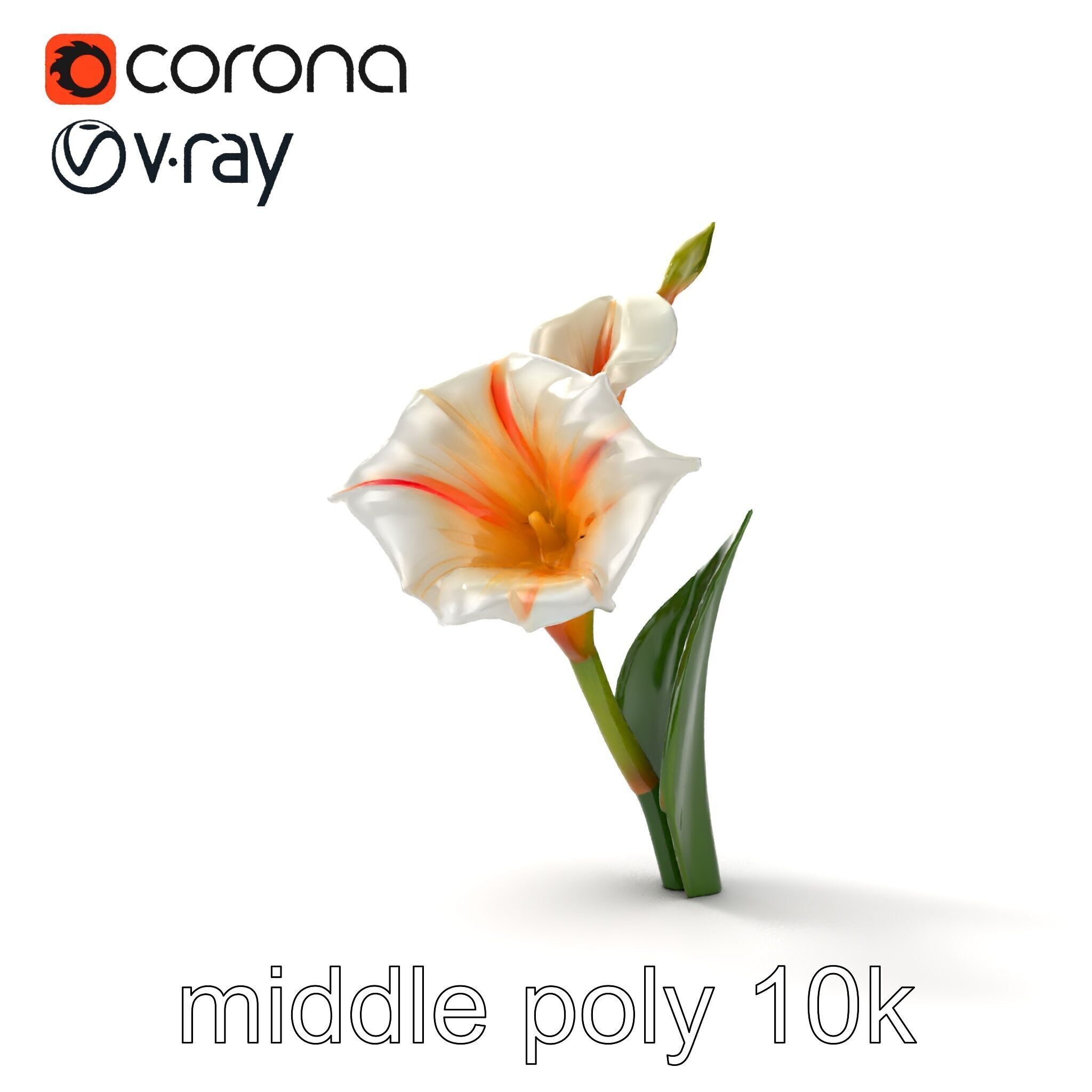 Elegant Gladiolus Floral Sculpture model pack Low-poly 3D model_13