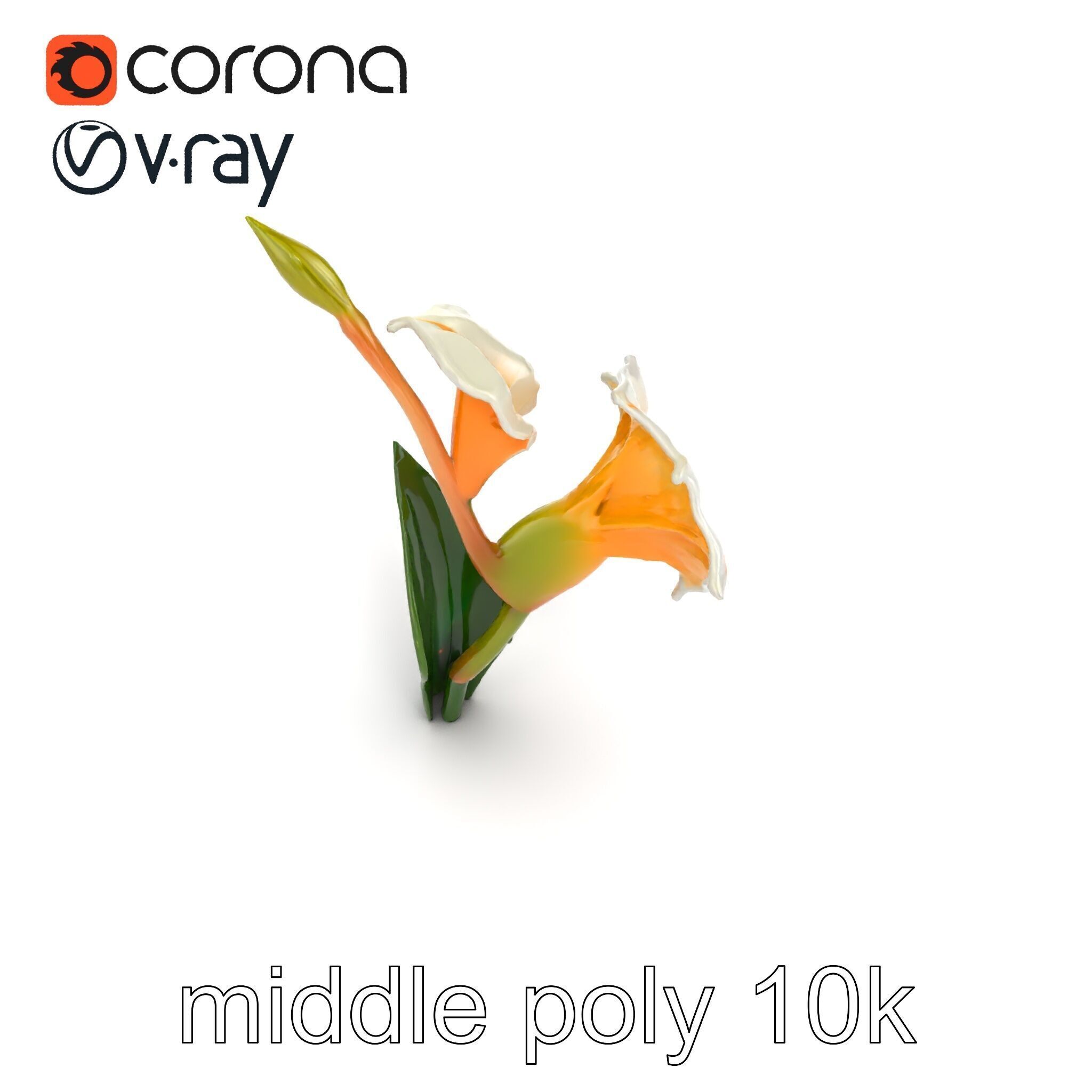 Elegant Gladiolus Floral Sculpture model pack Low-poly 3D model_12