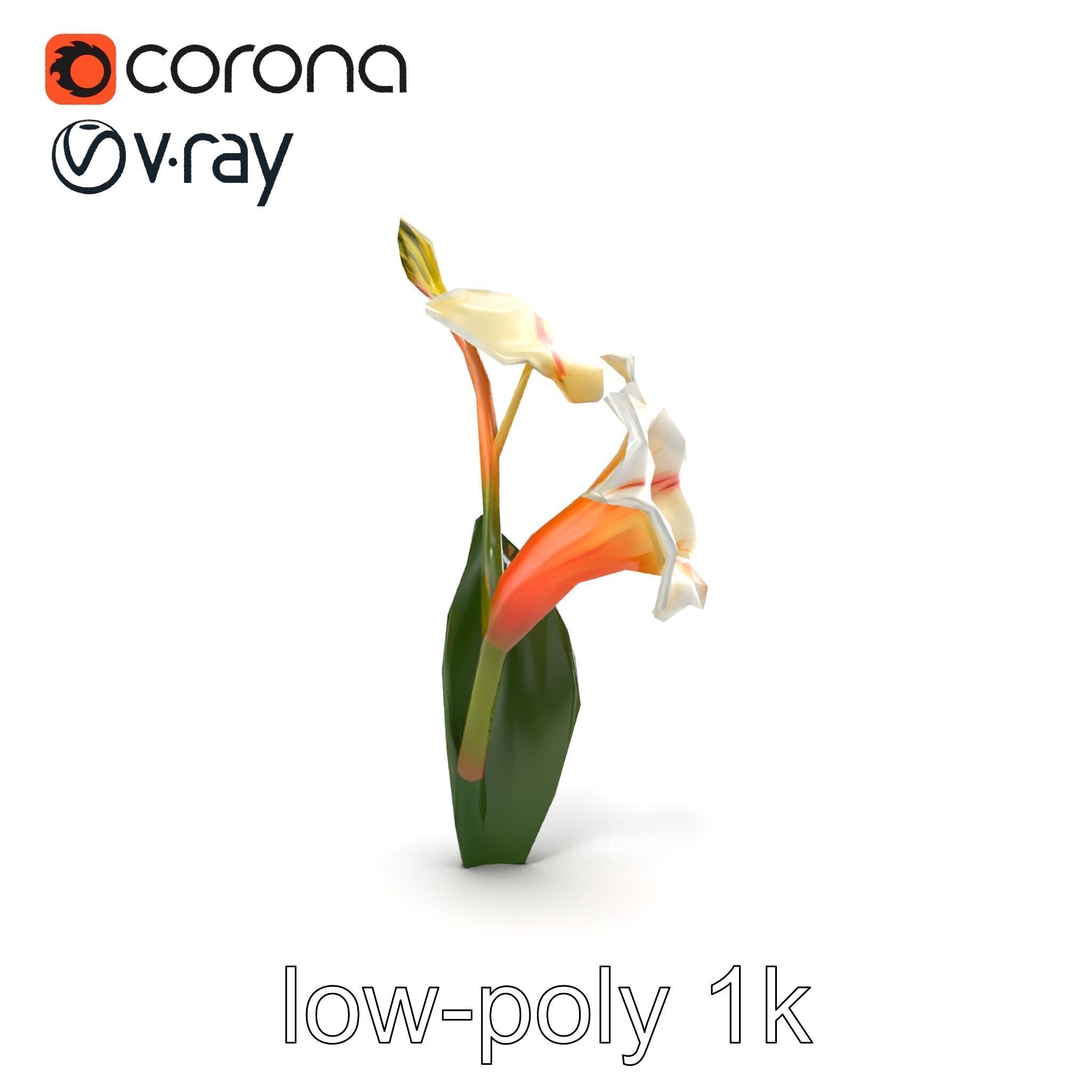 Elegant Gladiolus Floral Sculpture model pack Low-poly 3D model_27