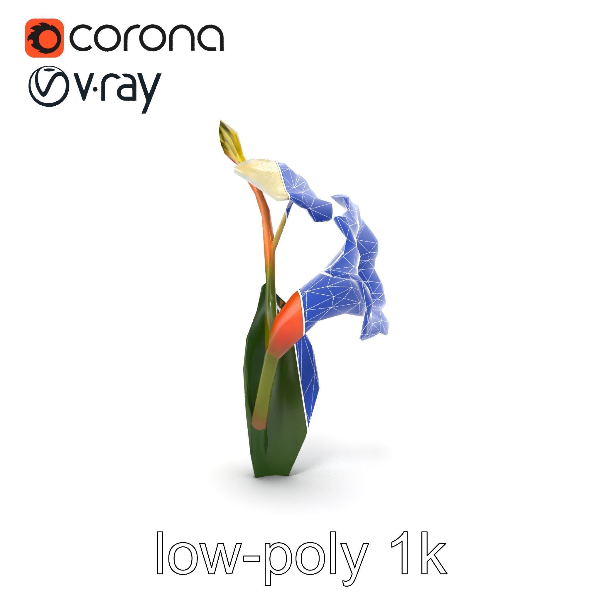 Elegant Gladiolus Floral Sculpture model pack Low-poly 3D model_23