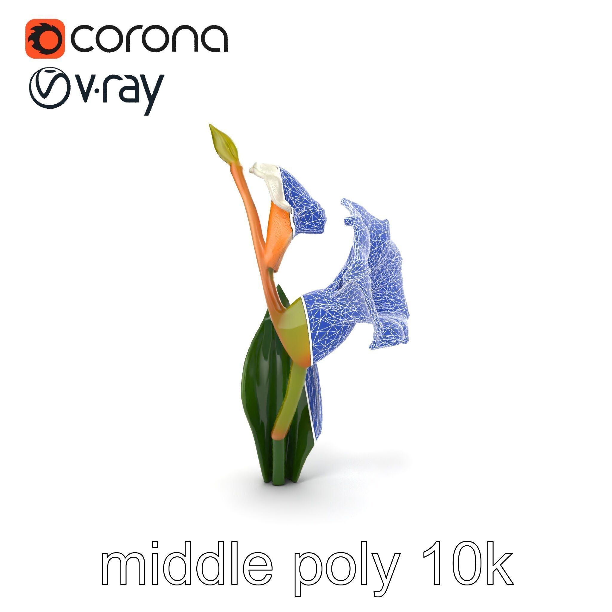 Elegant Gladiolus Floral Sculpture model pack Low-poly 3D model_30