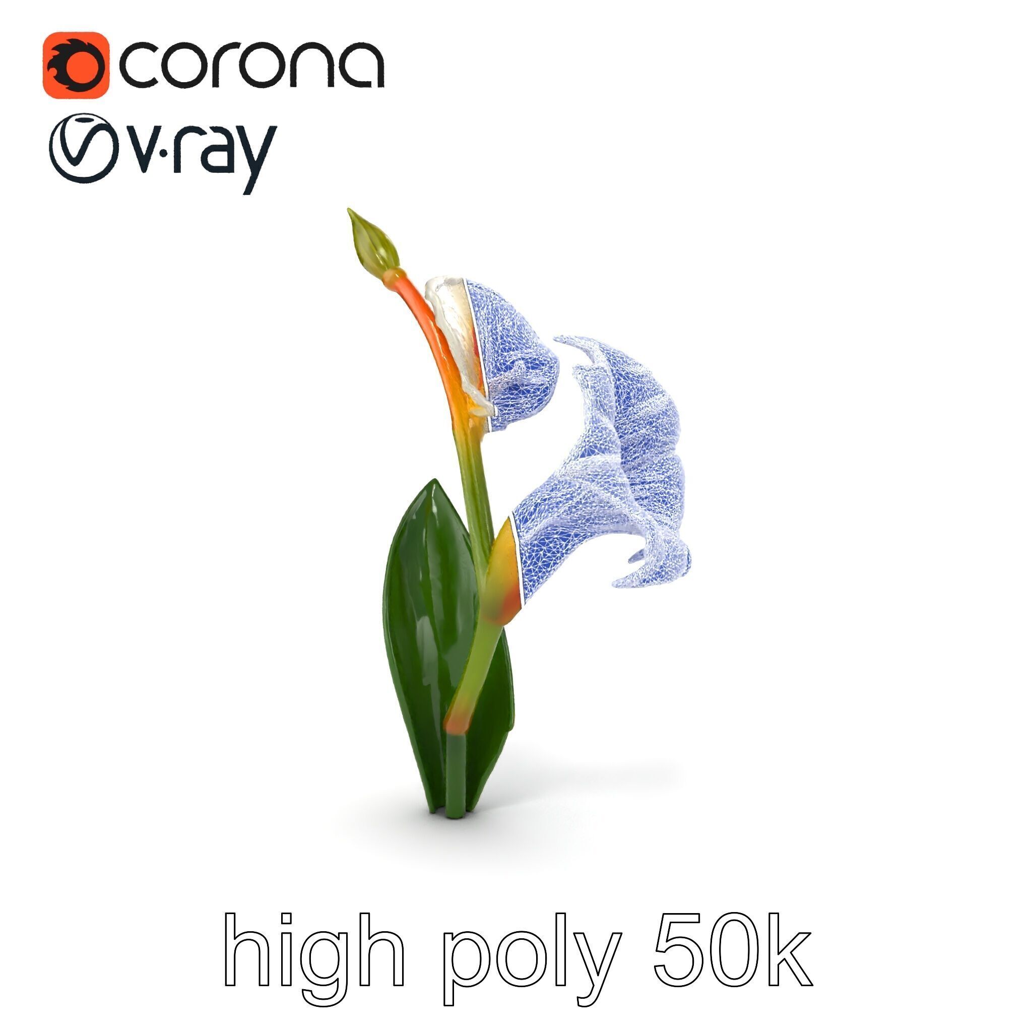 Elegant Gladiolus Floral Sculpture model pack Low-poly 3D model_24