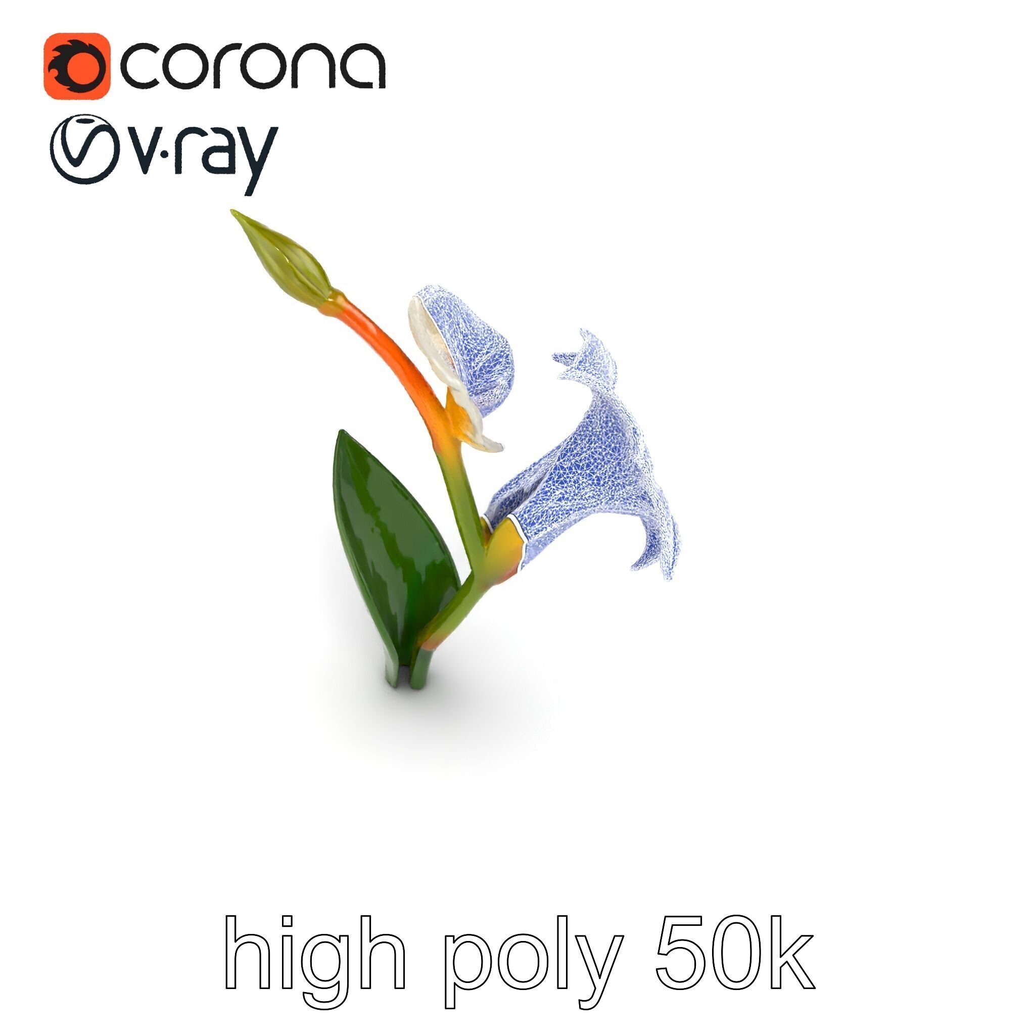 Elegant Gladiolus Floral Sculpture model pack Low-poly 3D model_11