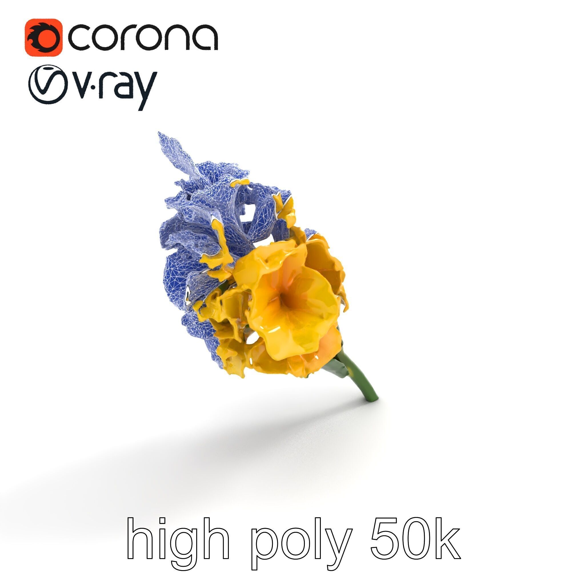 Gladiolus Yellow Flower Detailed Botanical Model Pack Low-poly 3D model_14