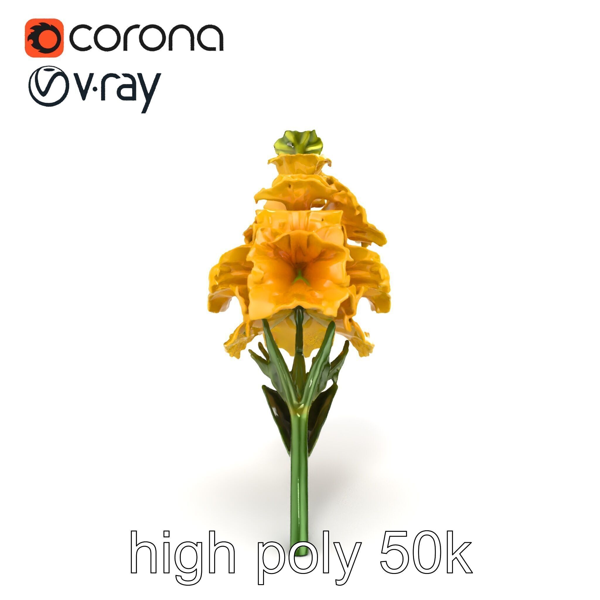 Gladiolus Yellow Flower Detailed Botanical Model Pack Low-poly 3D model_21