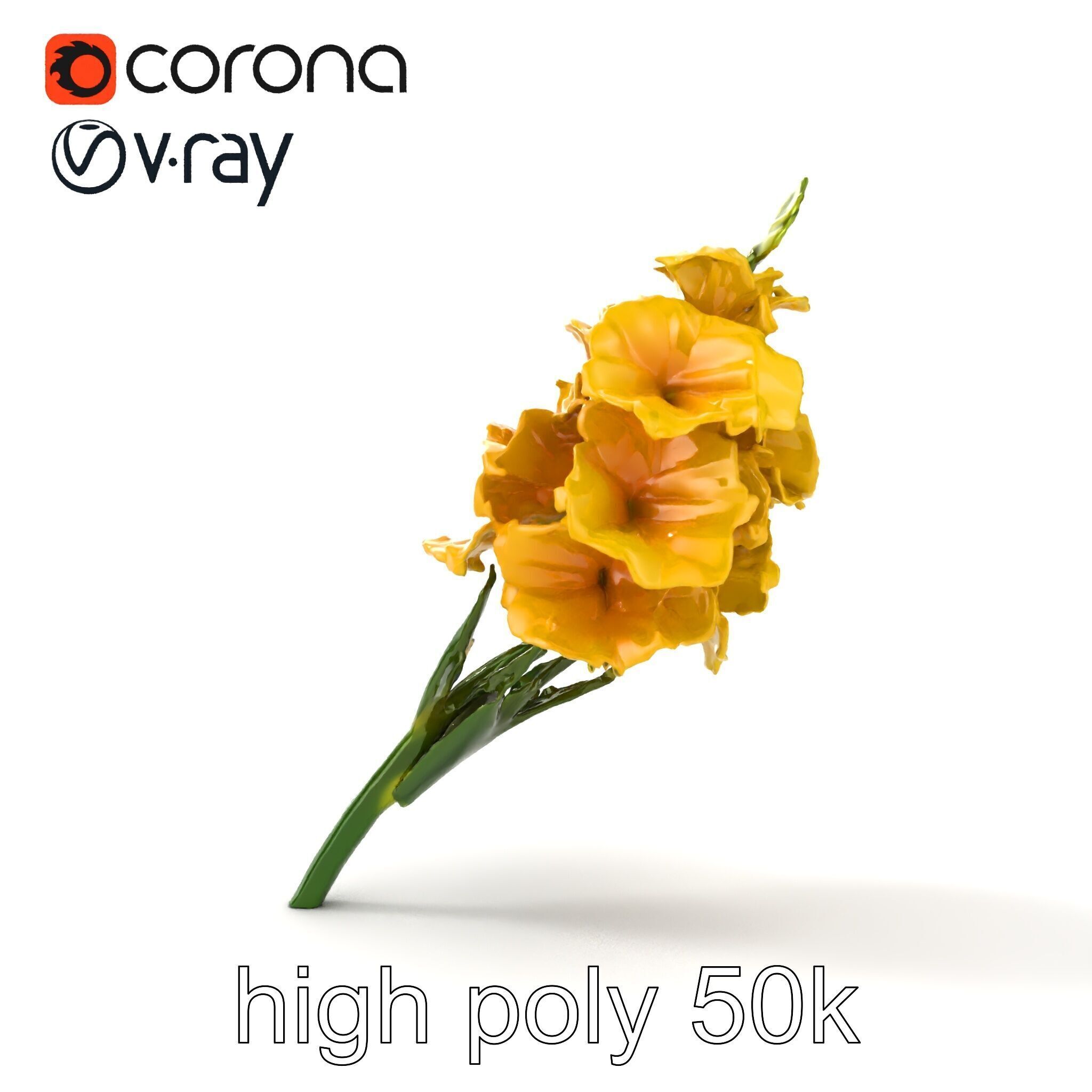 Gladiolus Yellow Flower Detailed Botanical Model Pack Low-poly 3D model_25