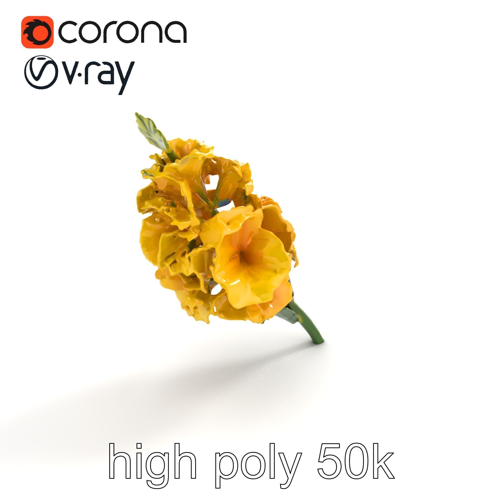 Gladiolus Yellow Flower Detailed Botanical Model Pack Low-poly 3D model_26