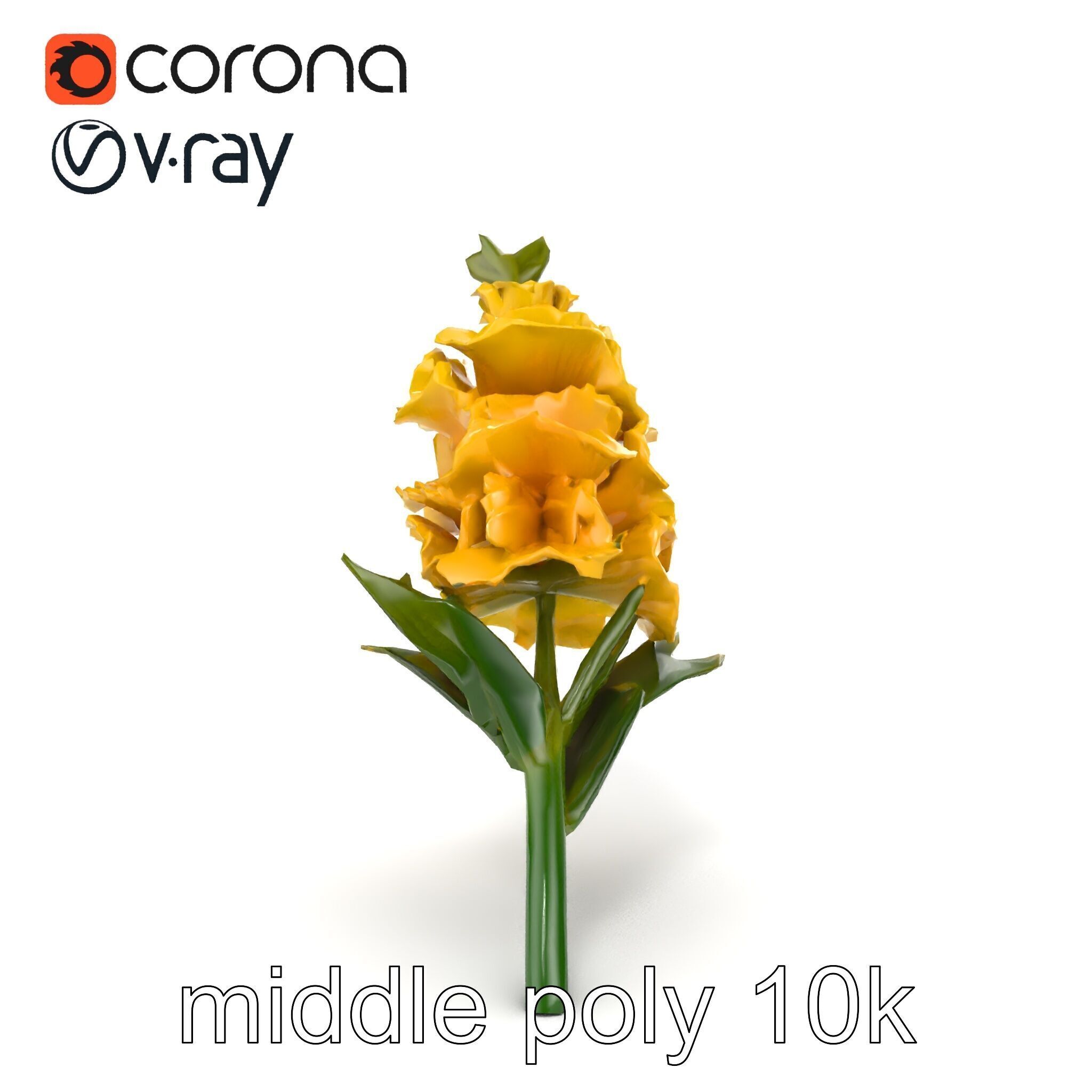 Gladiolus Yellow Flower Detailed Botanical Model Pack Low-poly 3D model_16