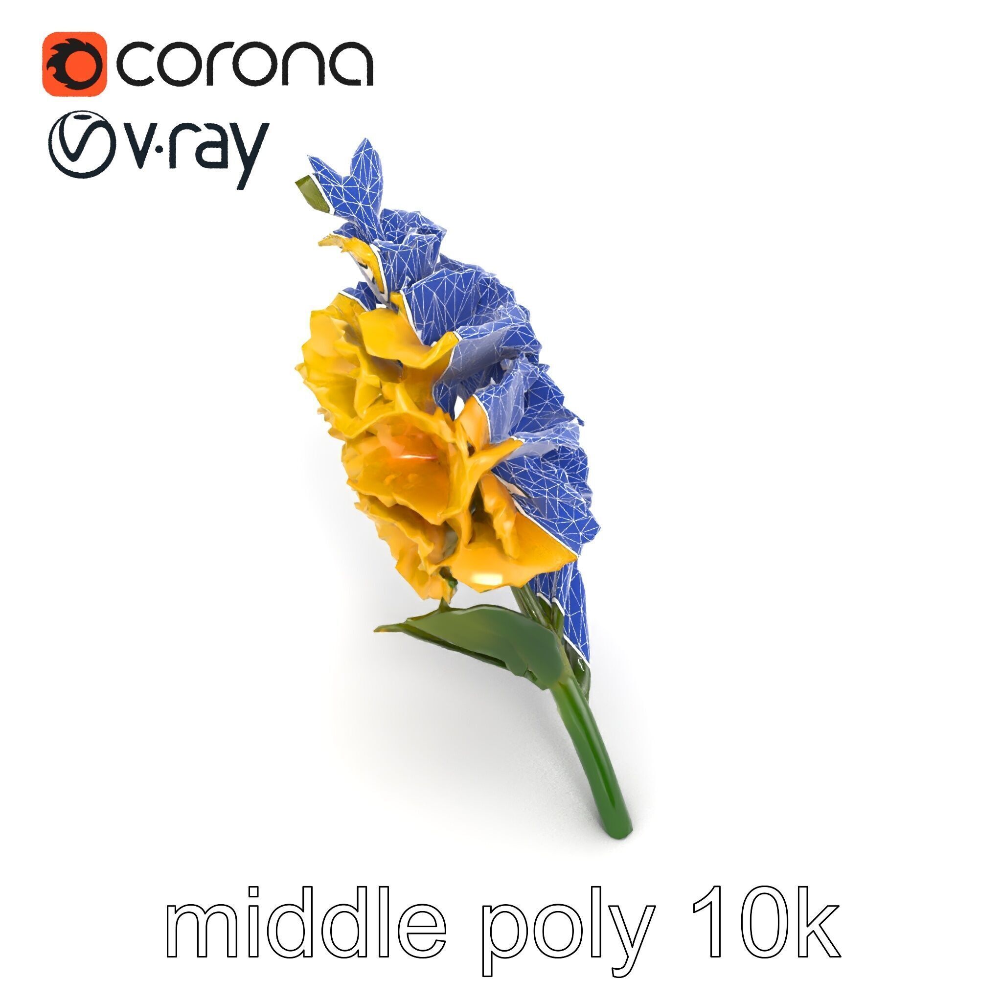Gladiolus Yellow Flower Detailed Botanical Model Pack Low-poly 3D model_24
