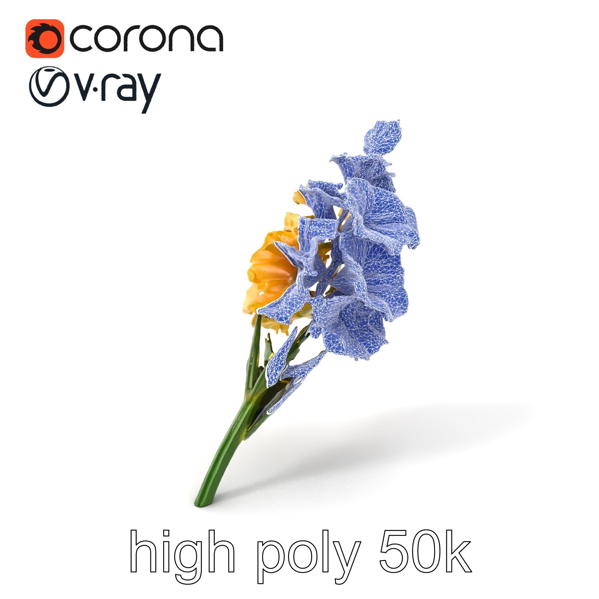 Gladiolus Yellow Flower Detailed Botanical Model Pack Low-poly 3D model_10