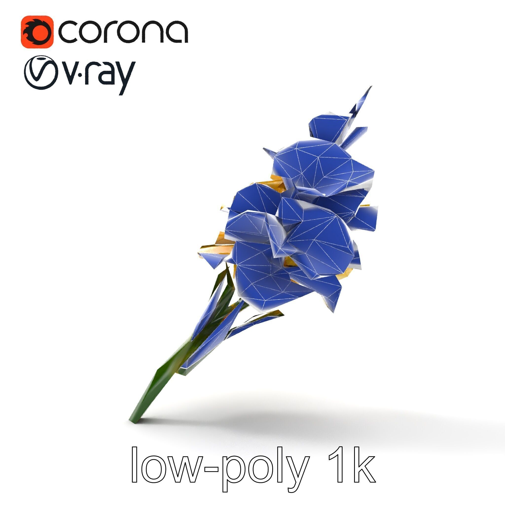 Gladiolus Yellow Flower Detailed Botanical Model Pack Low-poly 3D model_28