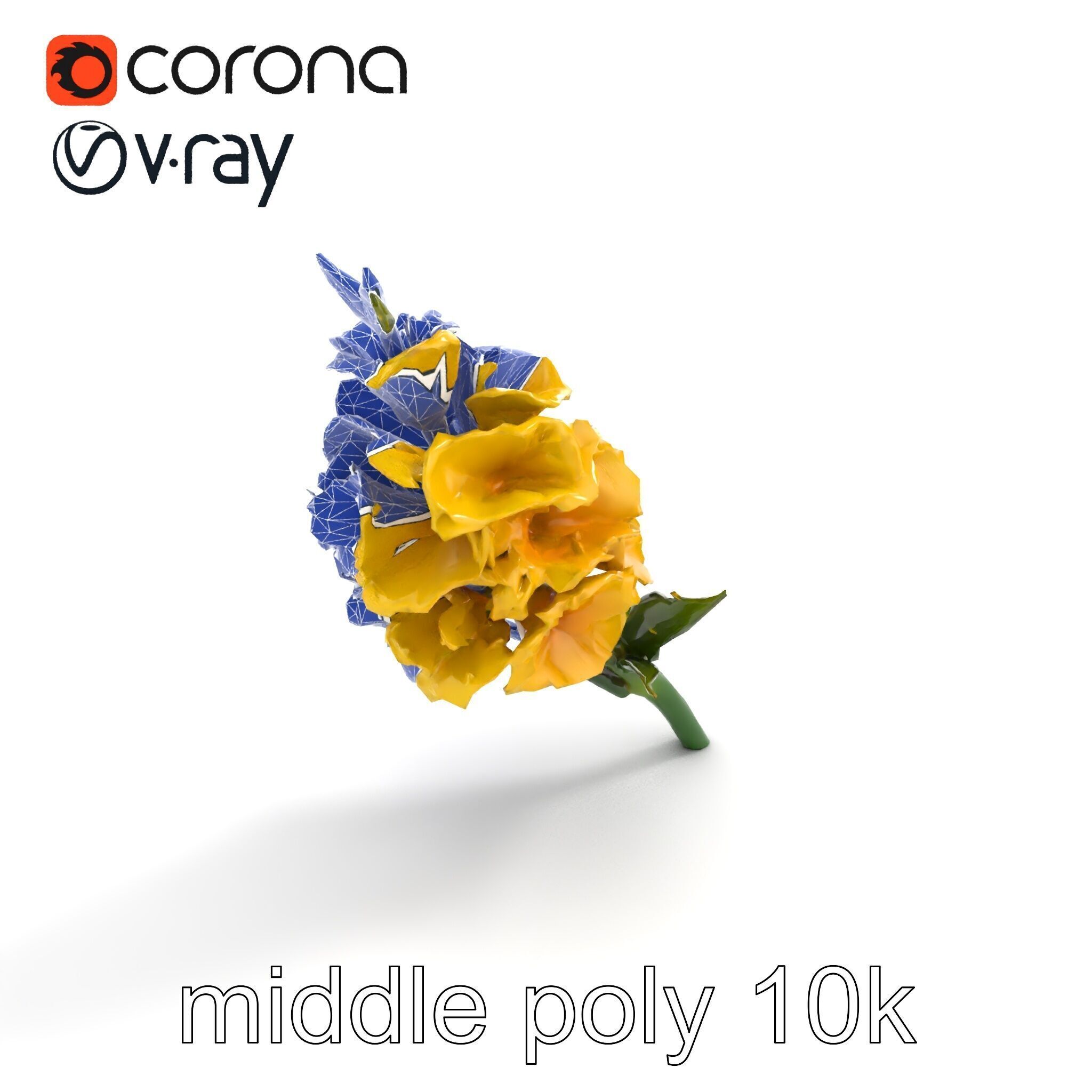 Gladiolus Yellow Flower Detailed Botanical Model Pack Low-poly 3D model_11