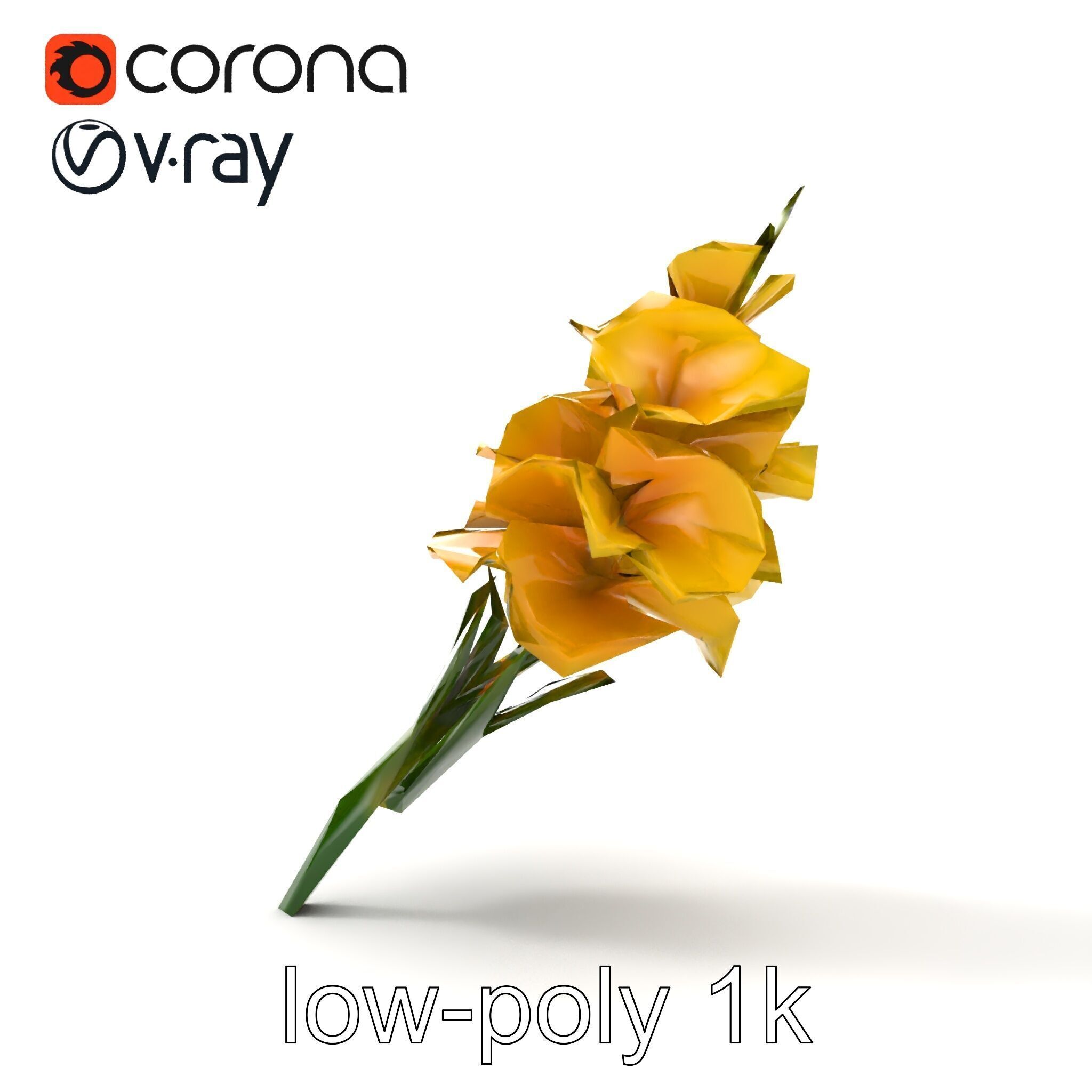 Gladiolus Yellow Flower Detailed Botanical Model Pack Low-poly 3D model_27