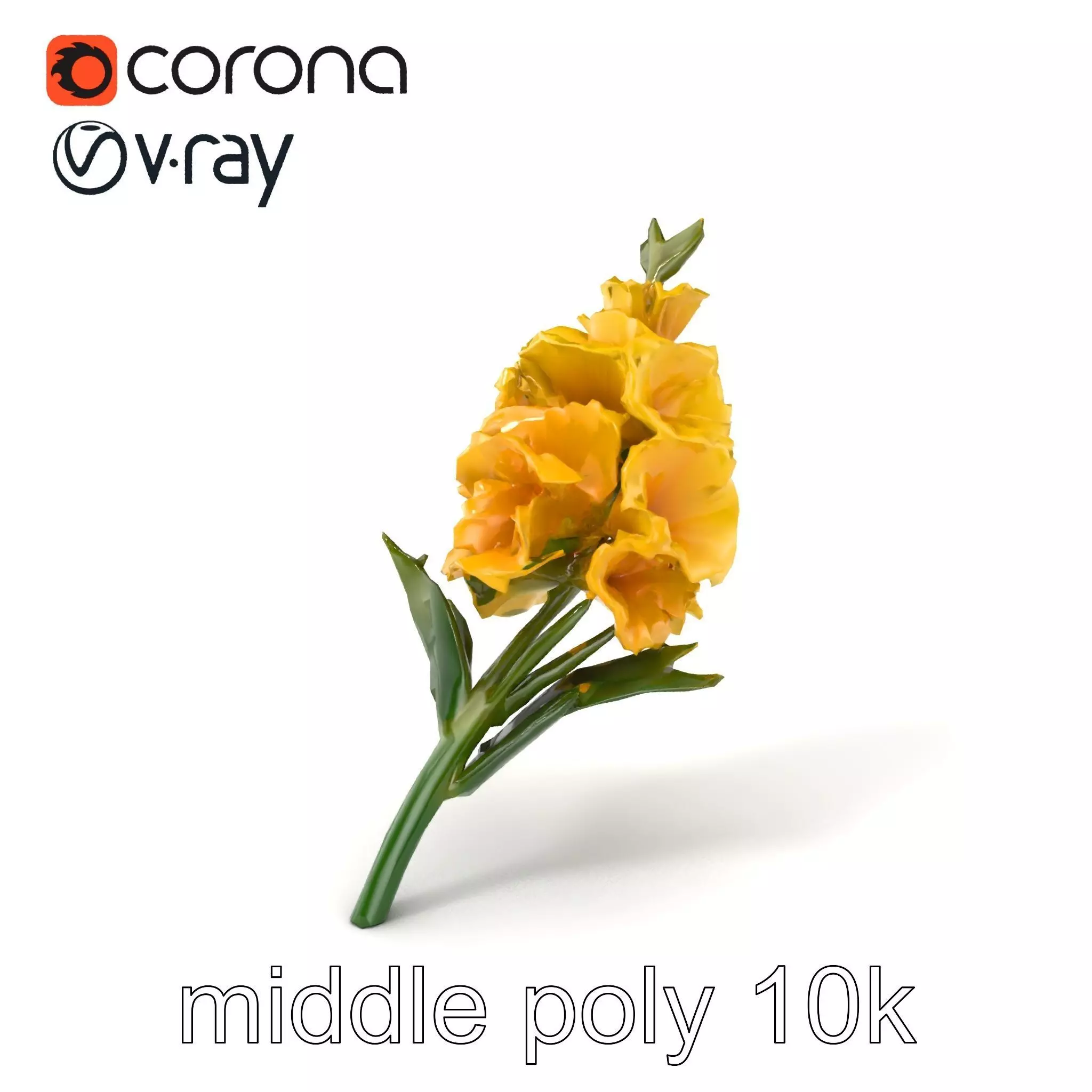 Gladiolus Yellow Flower Detailed Botanical Model Pack Low-poly 3D model_0