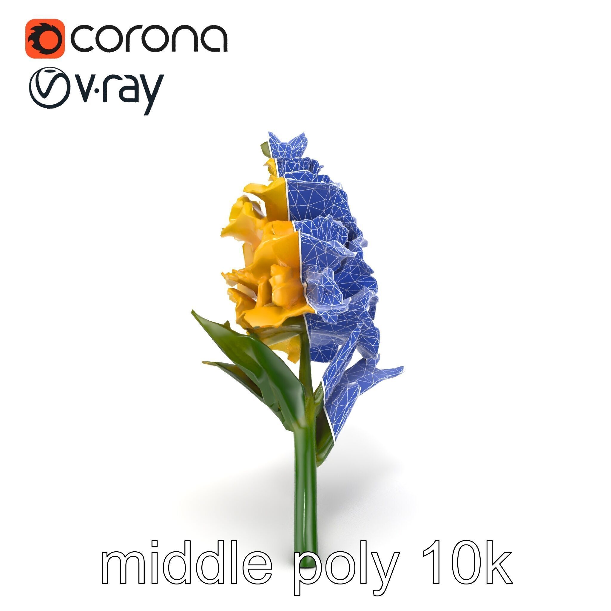 Gladiolus Yellow Flower Detailed Botanical Model Pack Low-poly 3D model_13