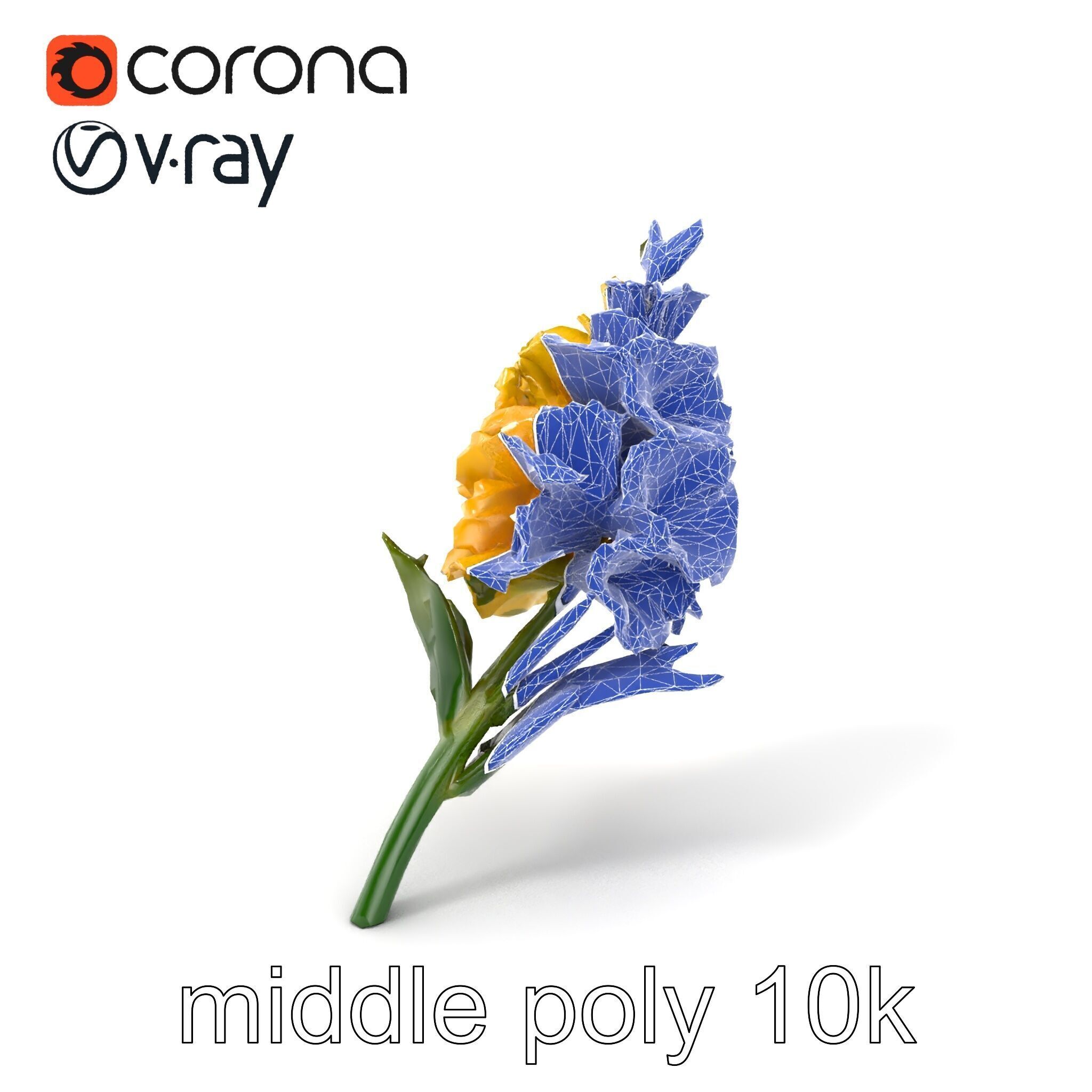 Gladiolus Yellow Flower Detailed Botanical Model Pack Low-poly 3D model_6
