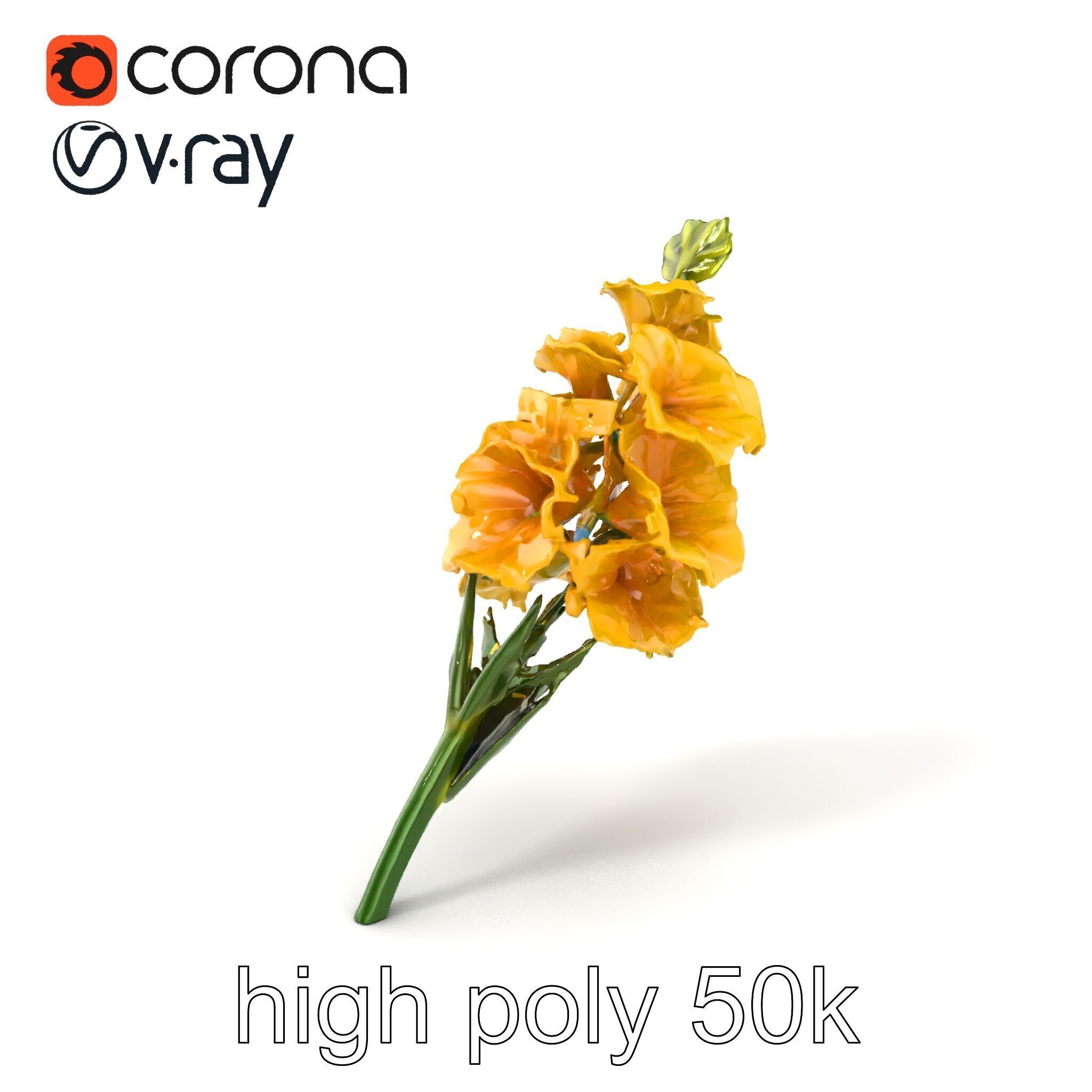 Gladiolus Yellow Flower Detailed Botanical Model Pack Low-poly 3D model_2