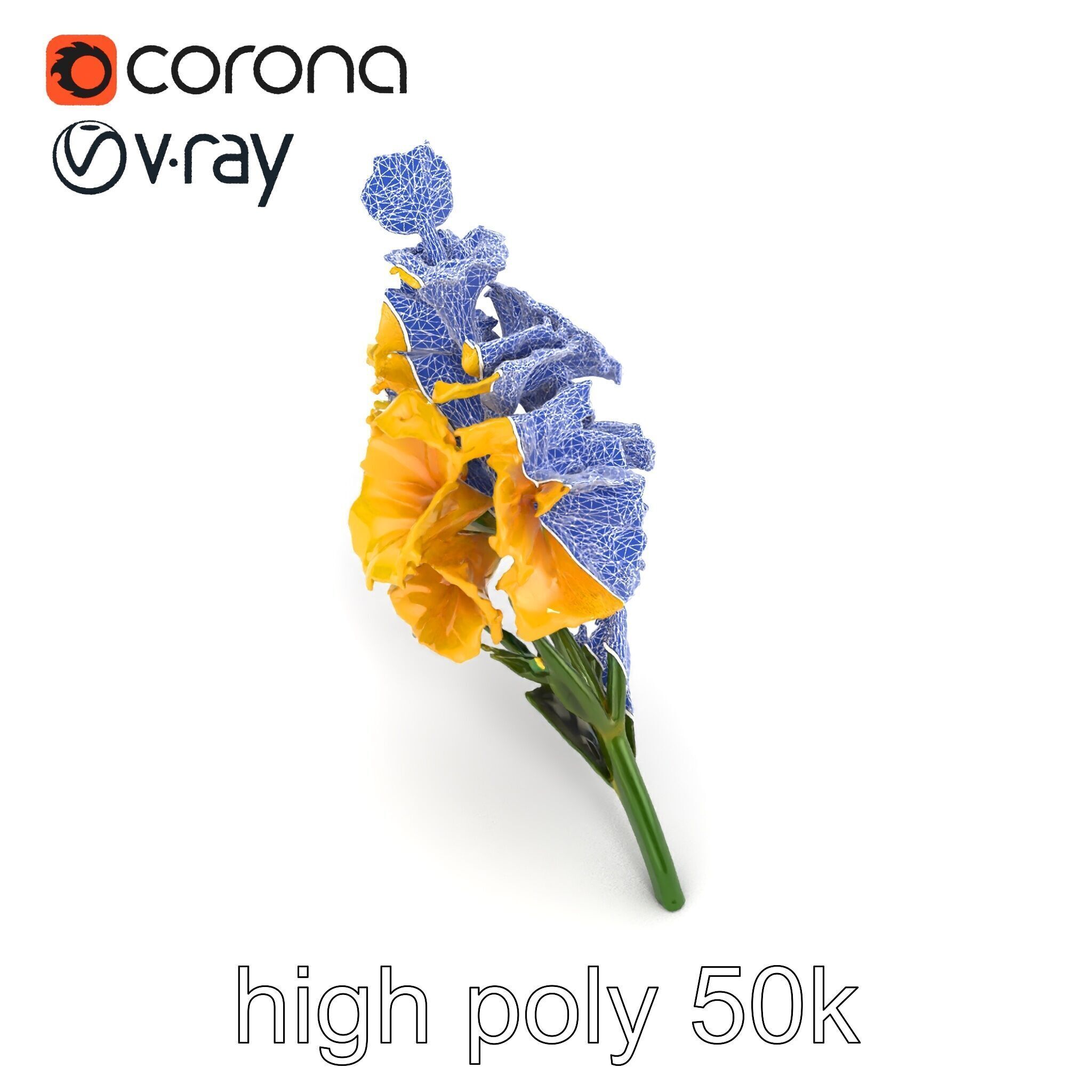 Gladiolus Yellow Flower Detailed Botanical Model Pack Low-poly 3D model_23