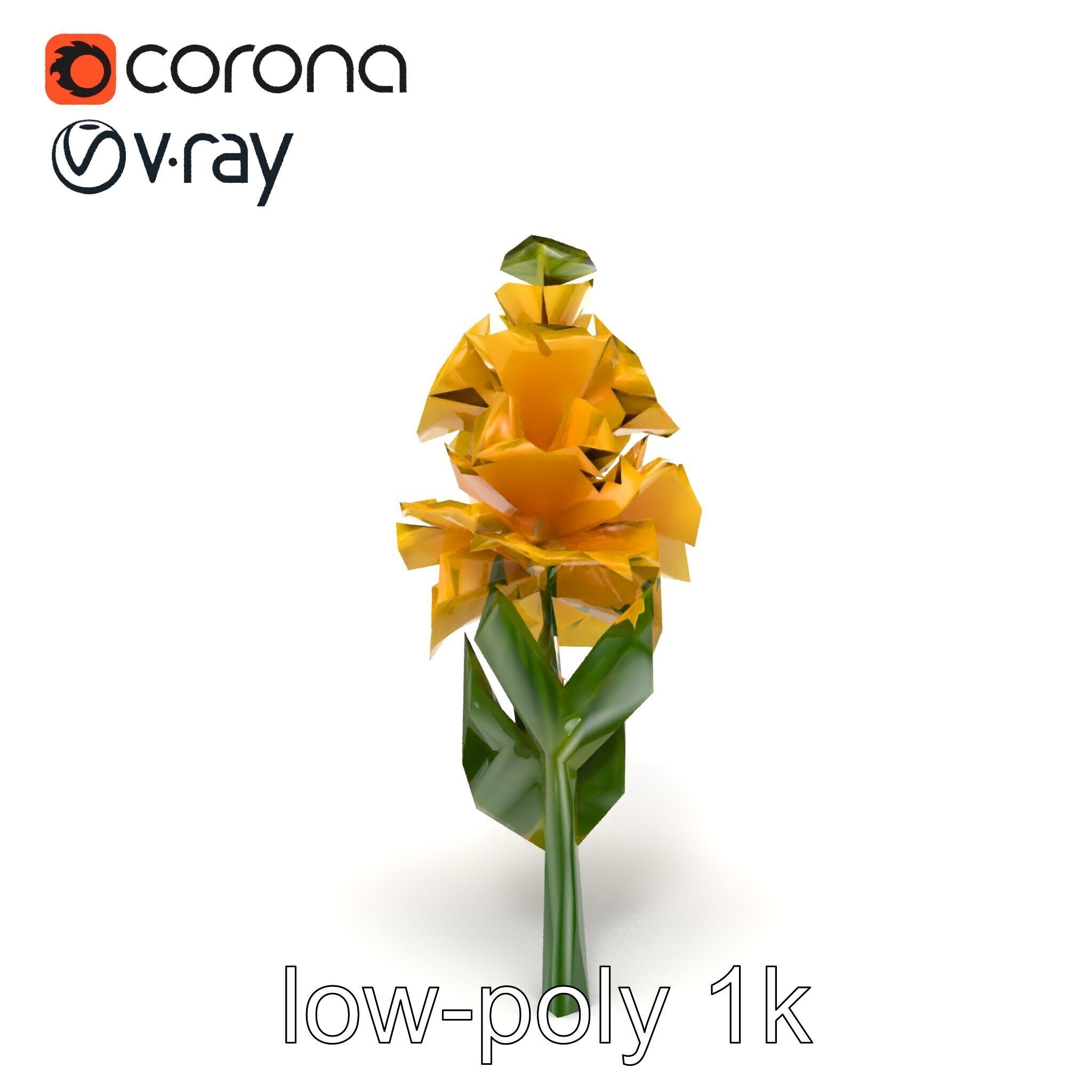 Gladiolus Yellow Flower Detailed Botanical Model Pack Low-poly 3D model_20