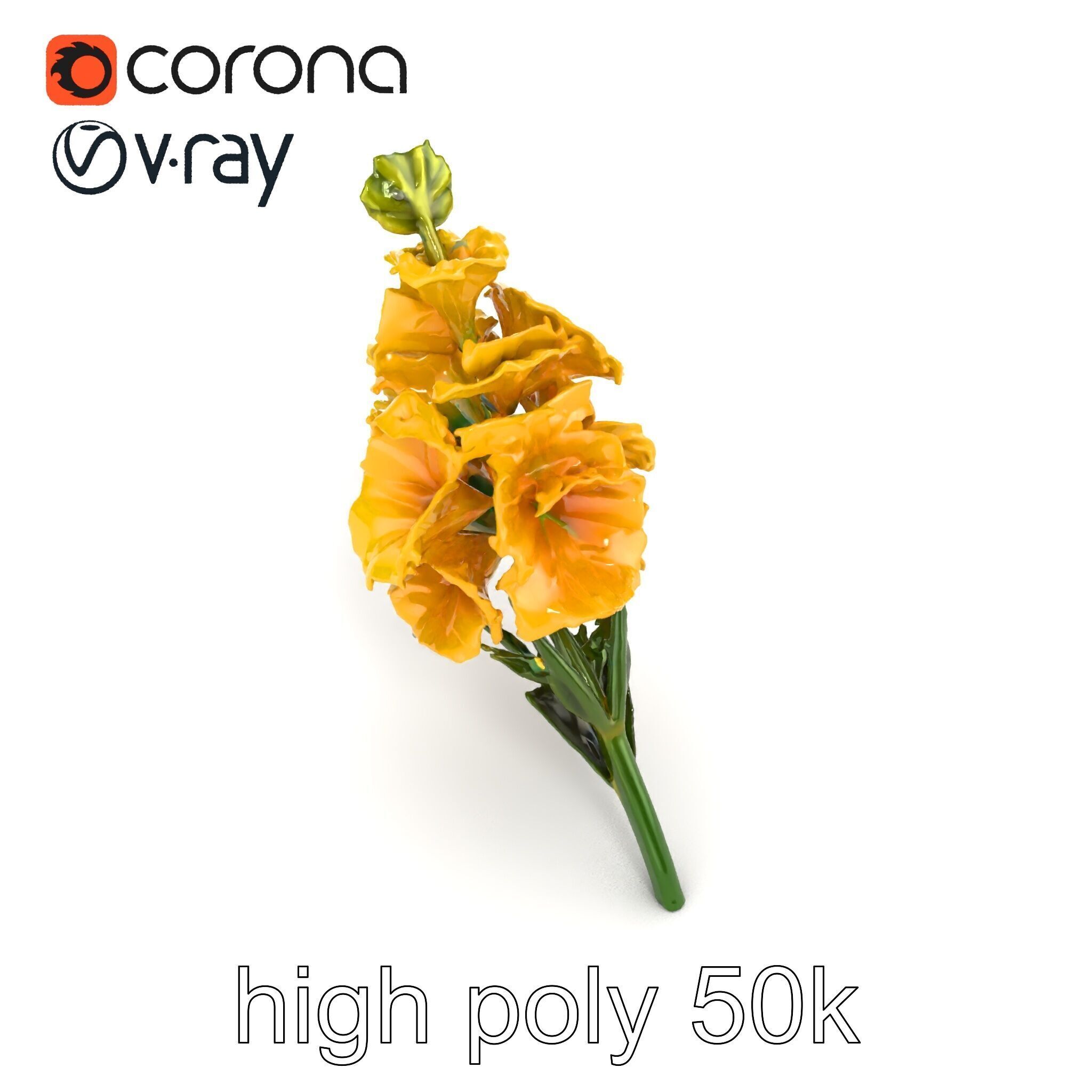 Gladiolus Yellow Flower Detailed Botanical Model Pack Low-poly 3D model_31