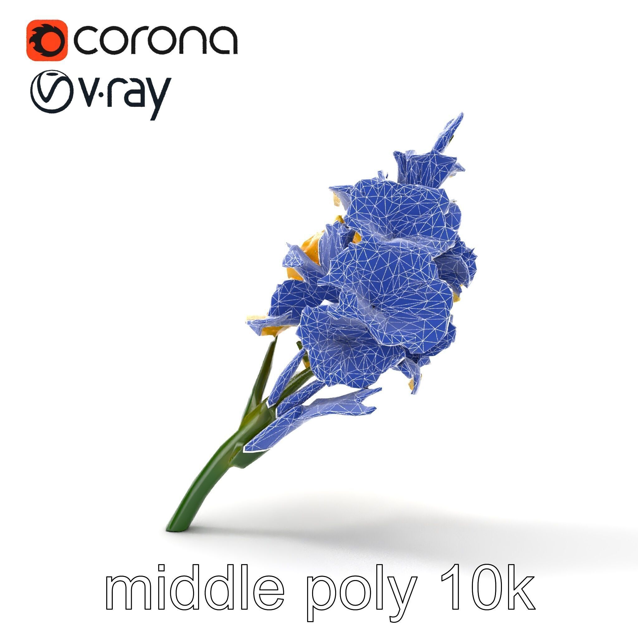 Gladiolus Yellow Flower Detailed Botanical Model Pack Low-poly 3D model_19