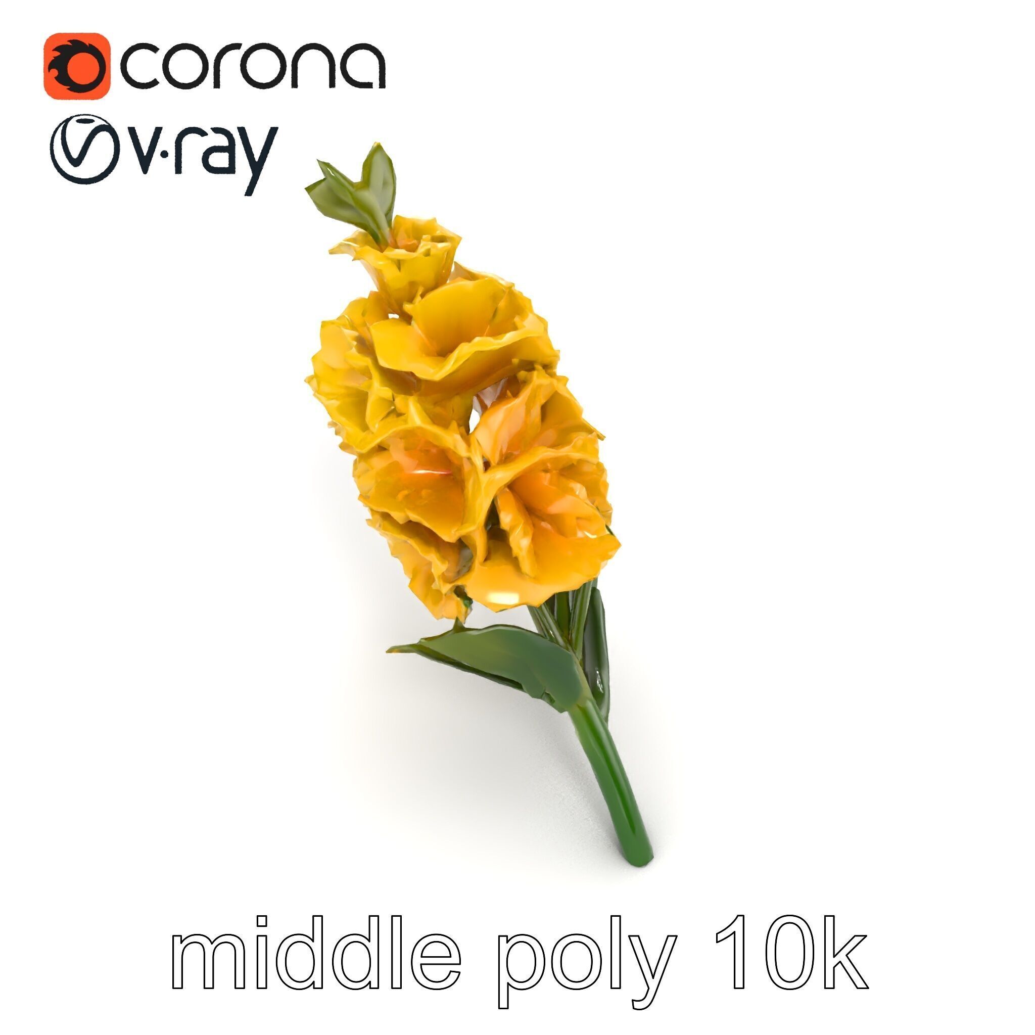 Gladiolus Yellow Flower Detailed Botanical Model Pack Low-poly 3D model_32