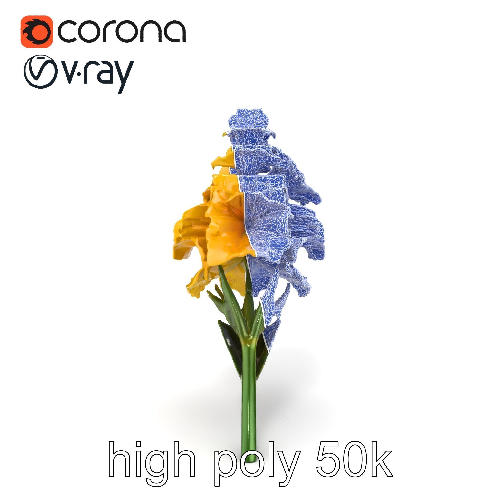 Gladiolus Yellow Flower Detailed Botanical Model Pack Low-poly 3D model_18