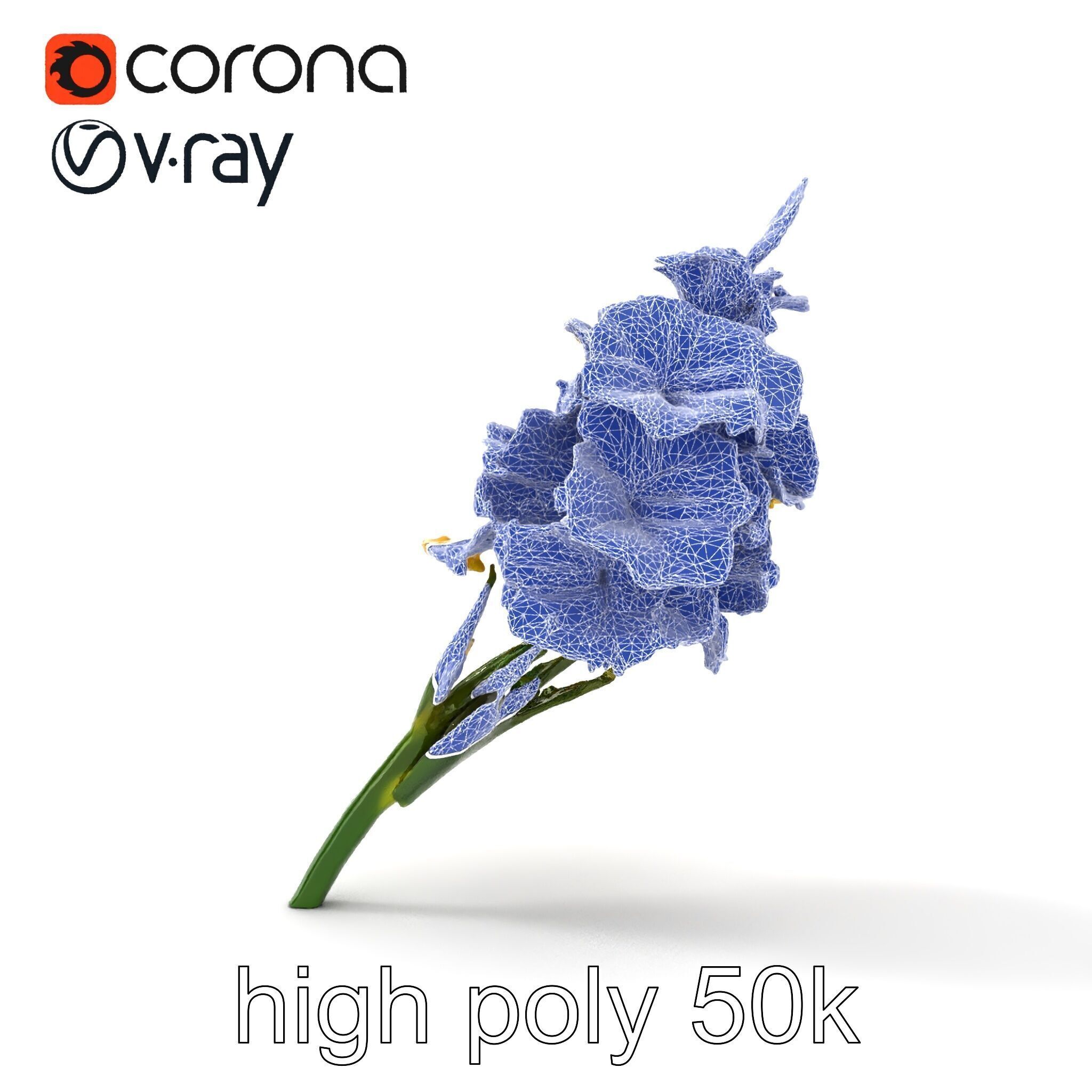 Gladiolus Yellow Flower Detailed Botanical Model Pack Low-poly 3D model_15